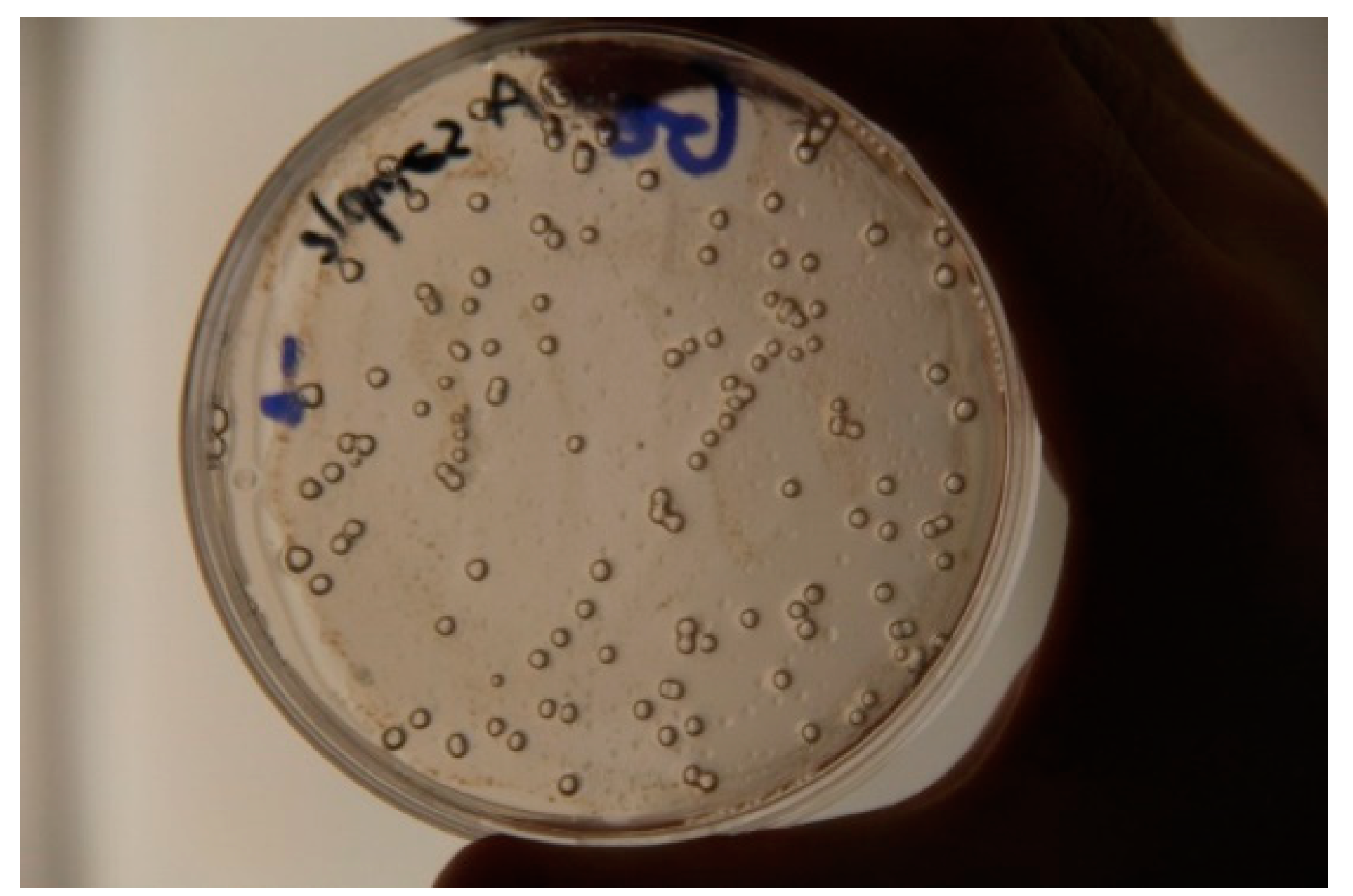 Water 13 01533 g003 Water 13 01533 g003