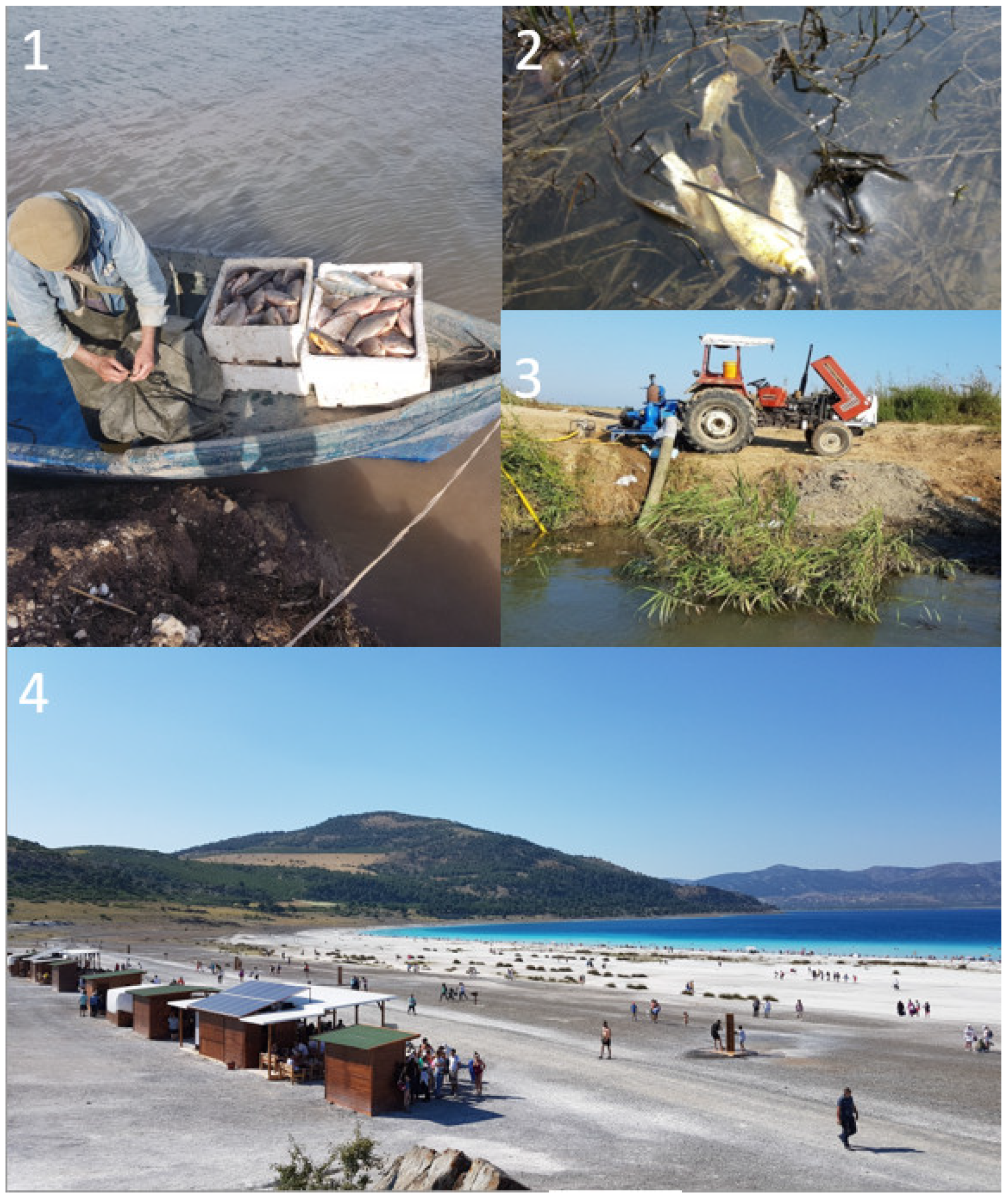 Water 13 01534 g006 Water 13 01534 g006