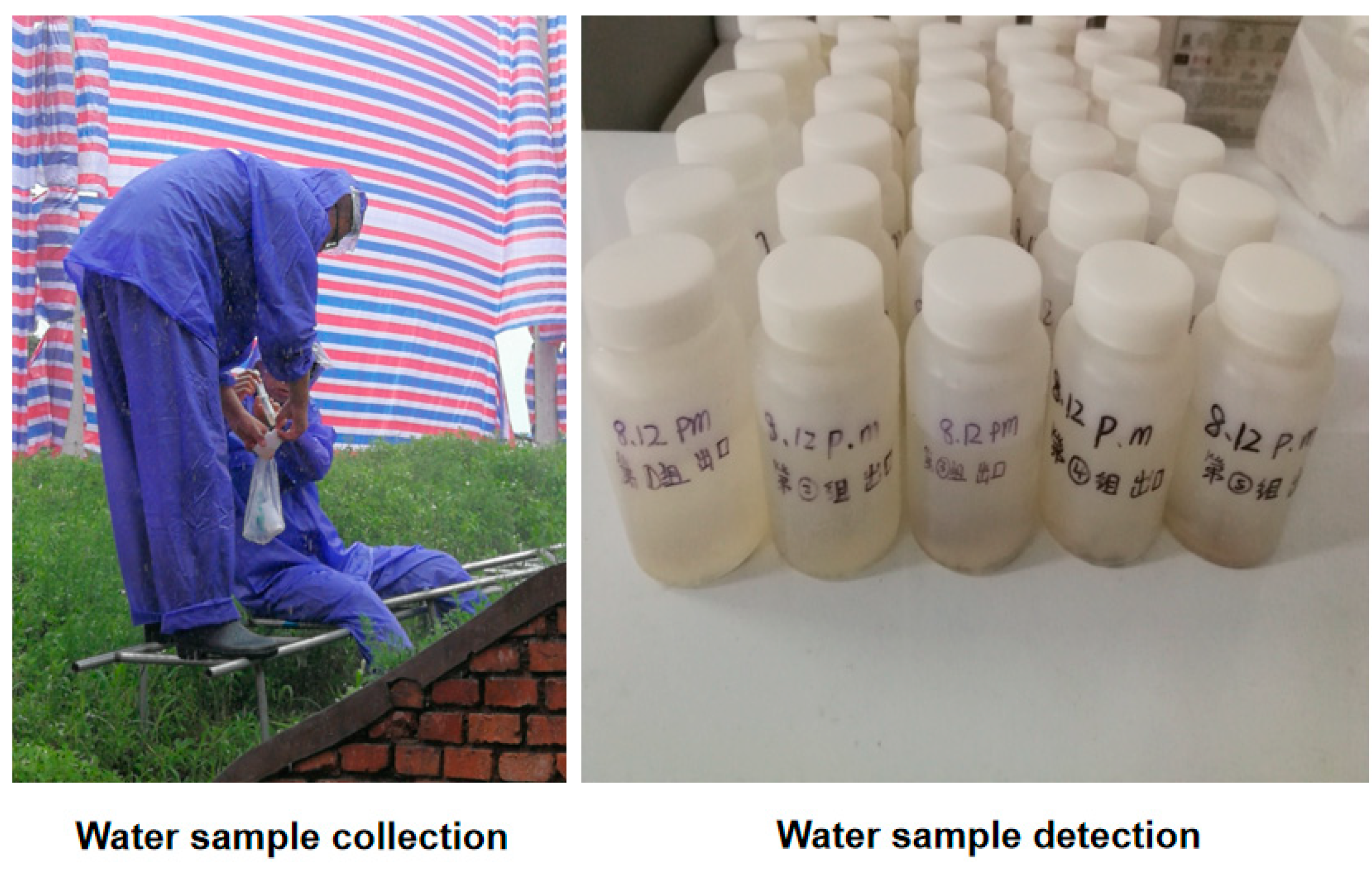 Water 13 01540 g007 Water 13 01540 g007