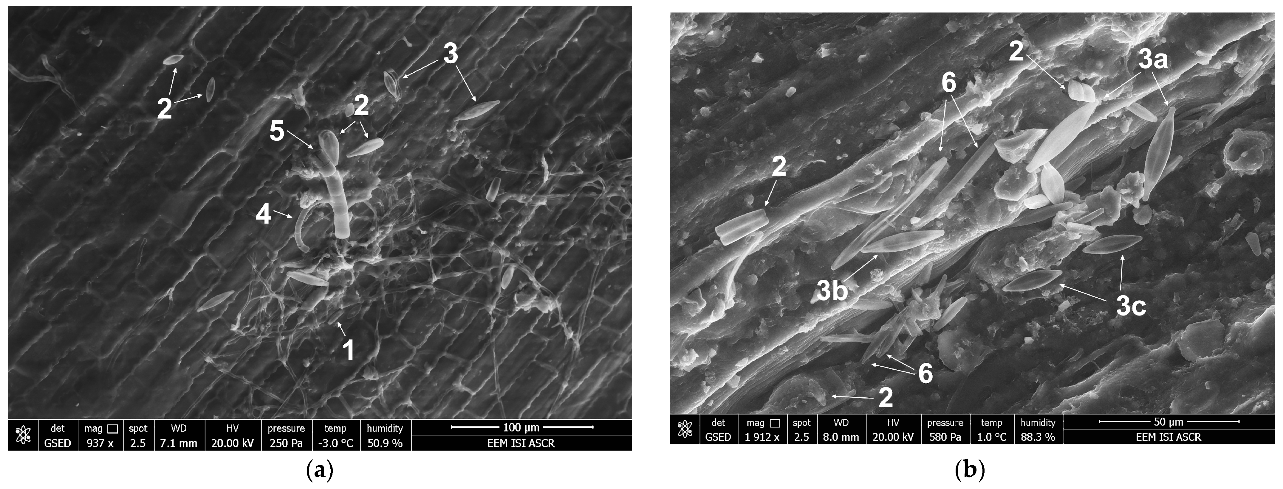 Water 13 01569 g014a Water 13 01569 g014a