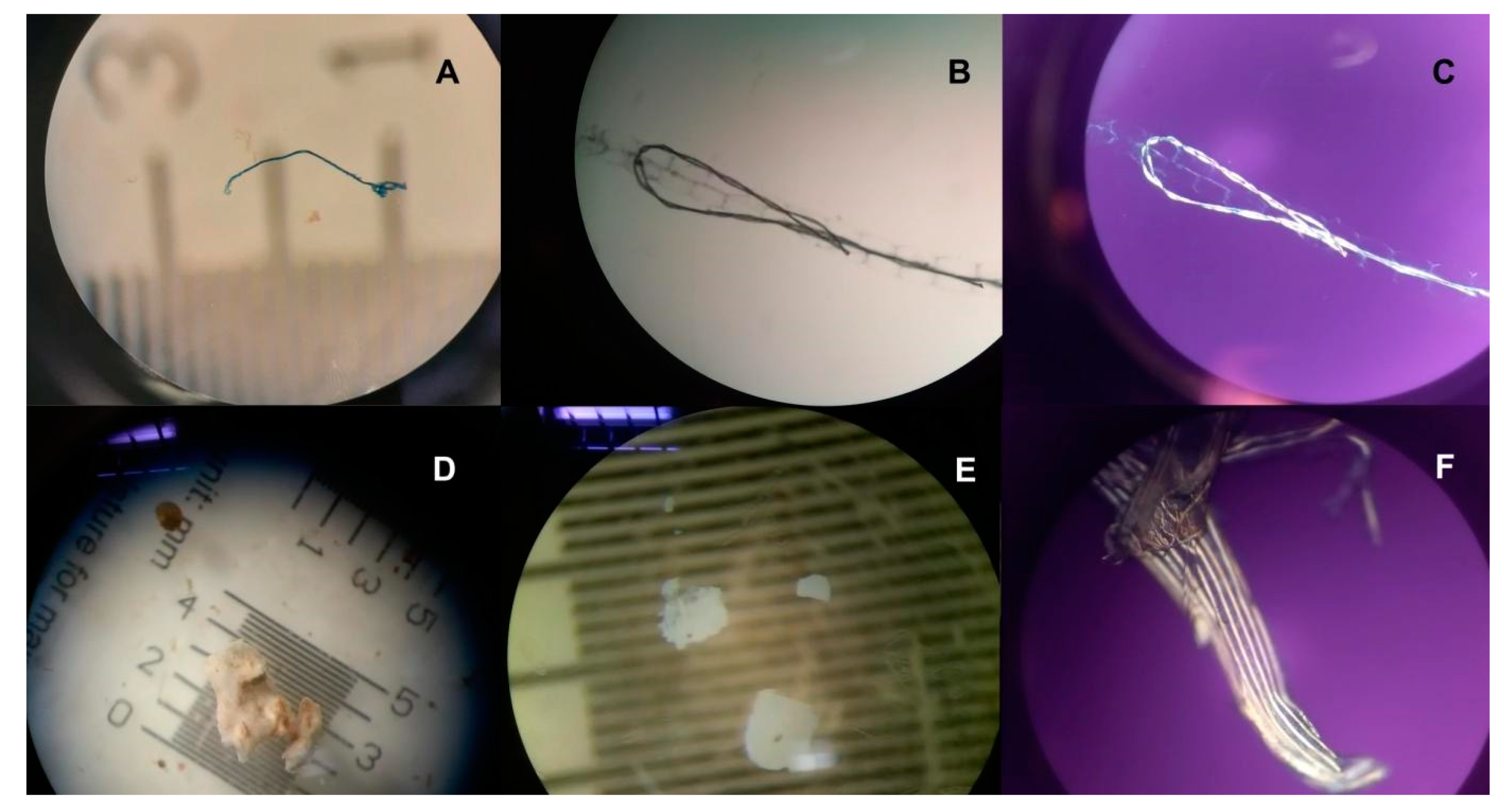 Water 13 01575 g003 Water 13 01575 g003