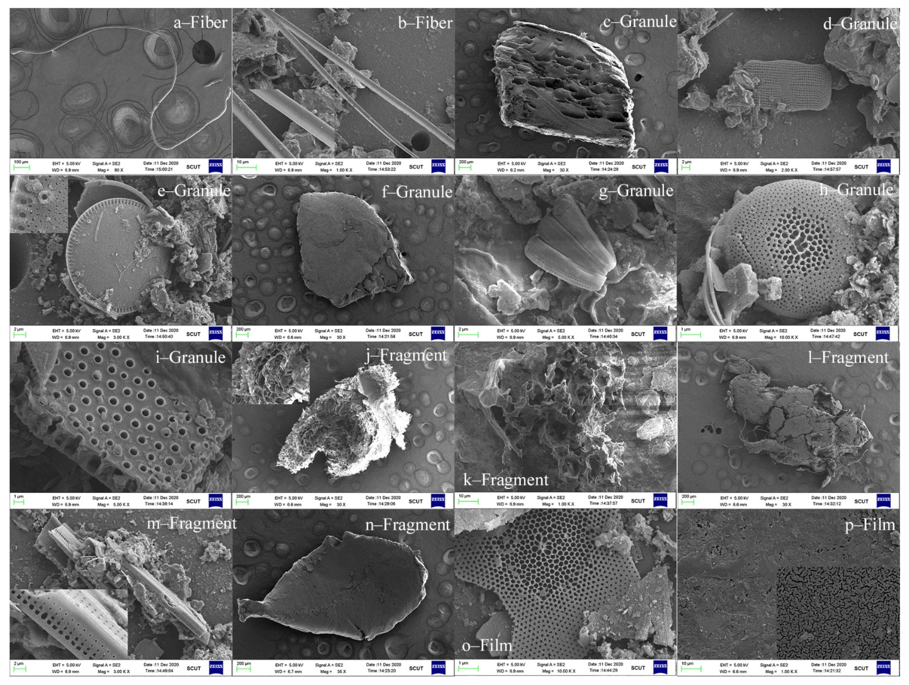 Water 13 01618 g005 Water 13 01618 g005