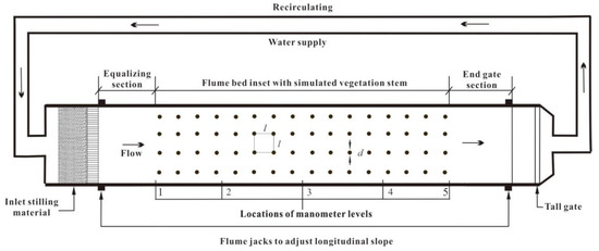 Overland Flow Resistance Law under Sparse Stem Vegetation Coverage