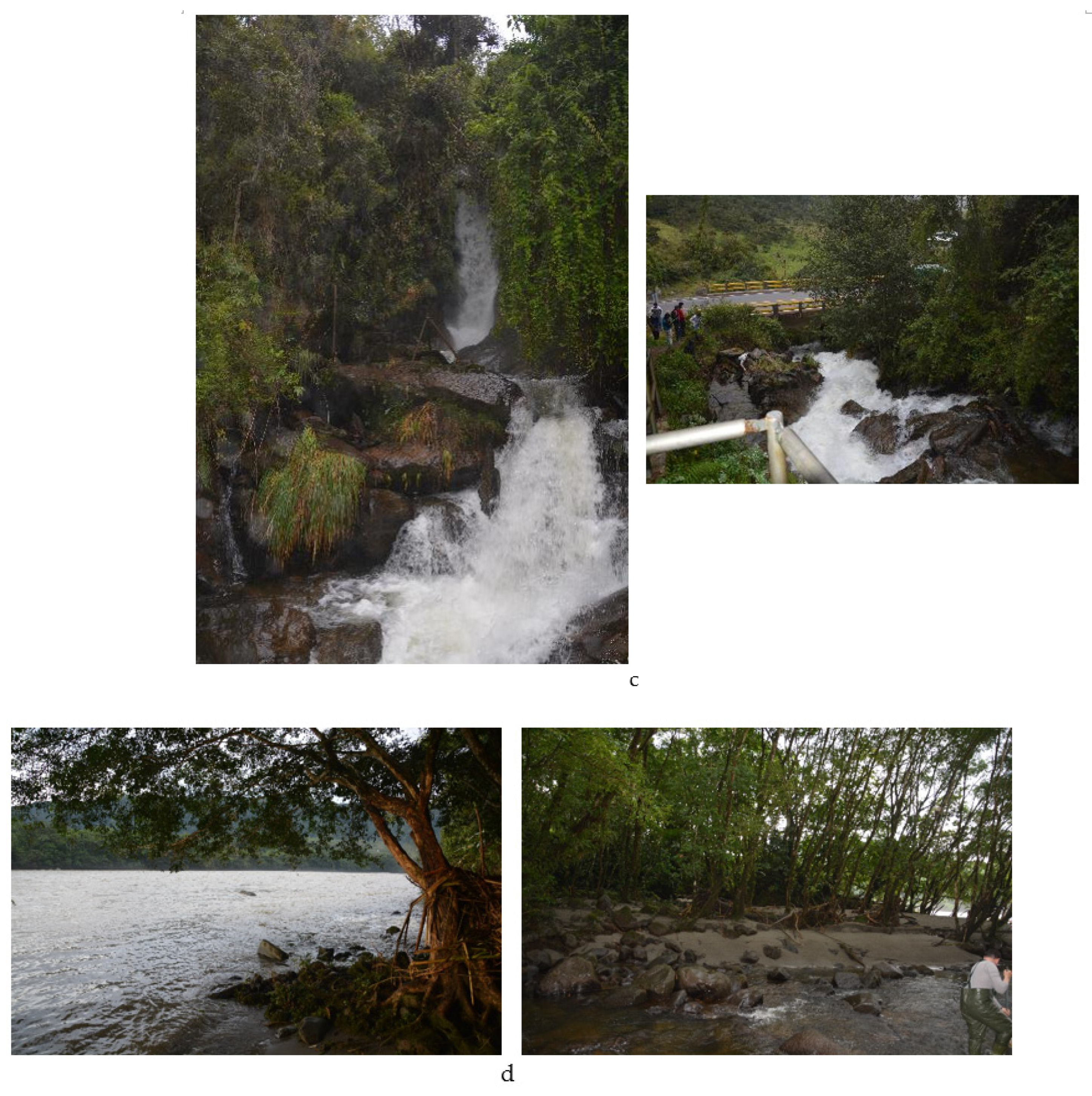 Water 13 01692 g0a1b Water 13 01692 g0a1b