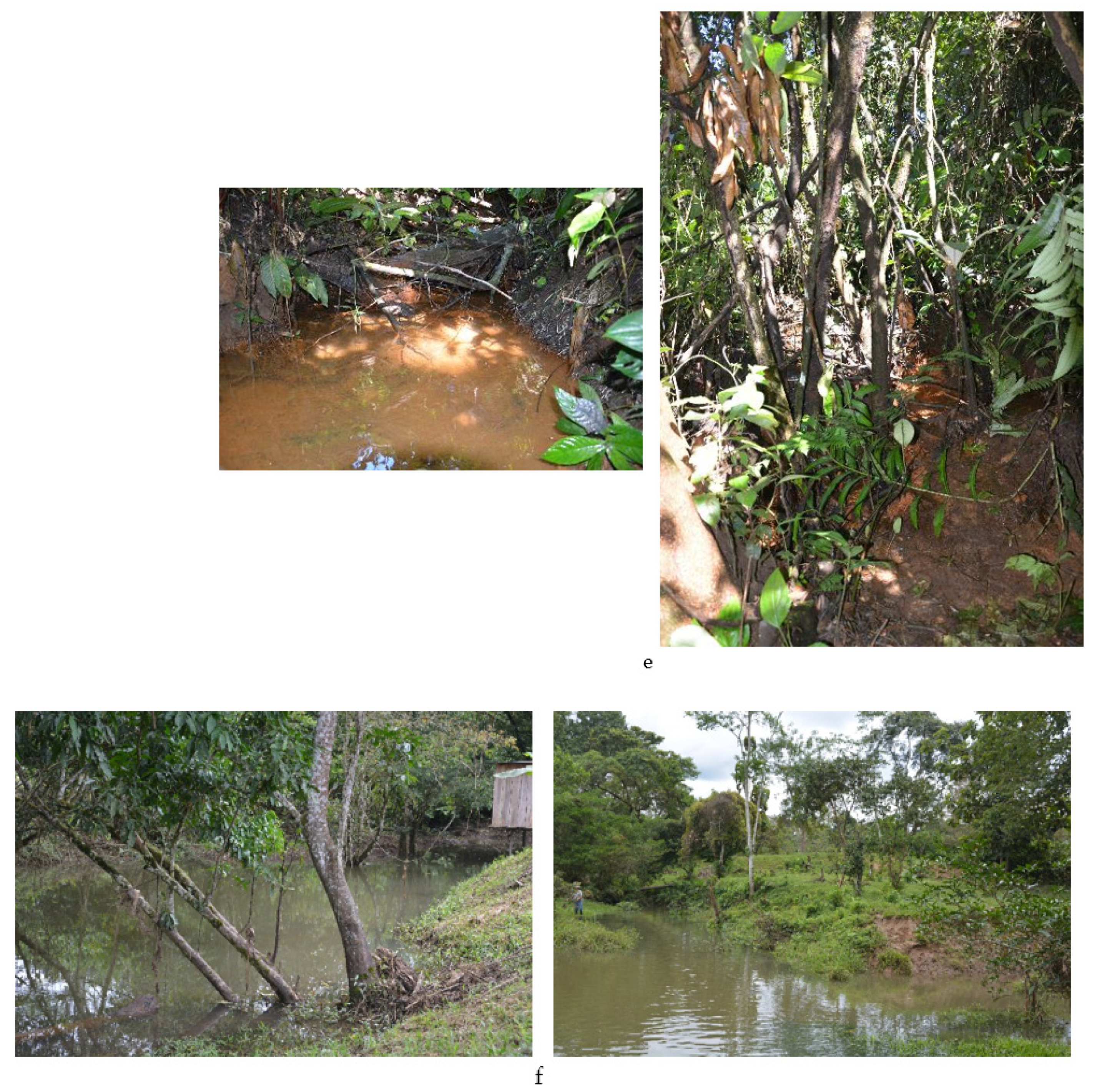 Water 13 01692 g0a1c Water 13 01692 g0a1c