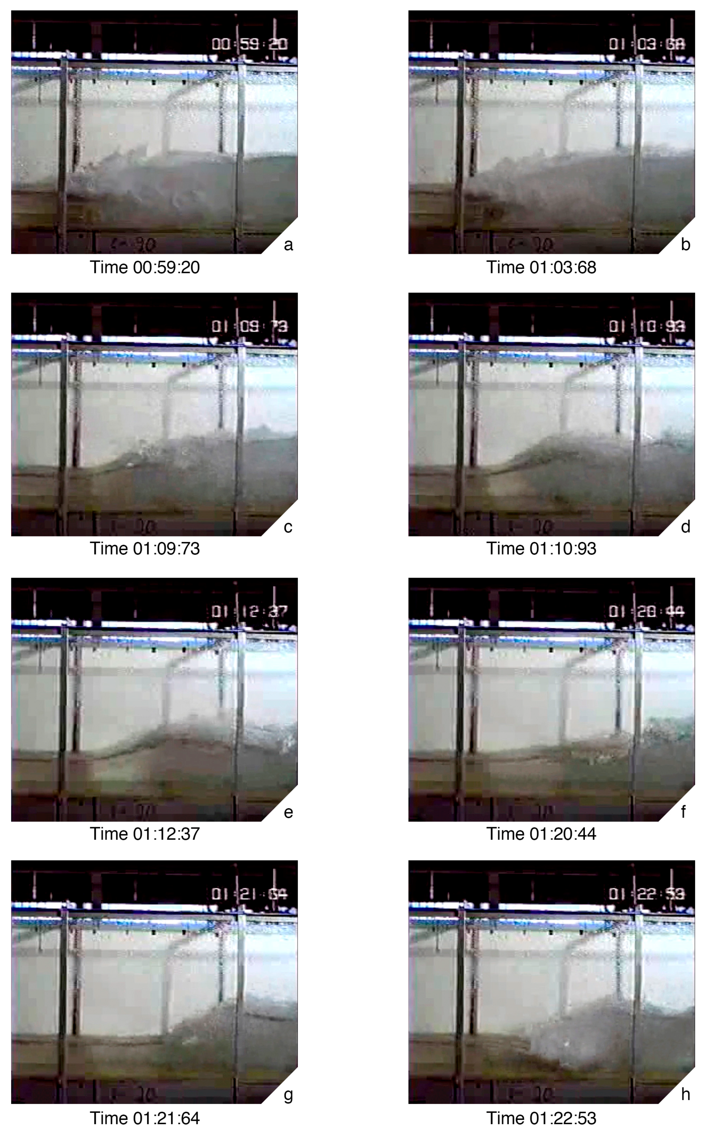 Water 13 01733 g005
