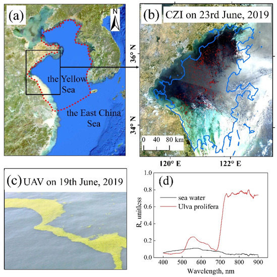 Effects of Spatial Resolution on the Satellite Observation