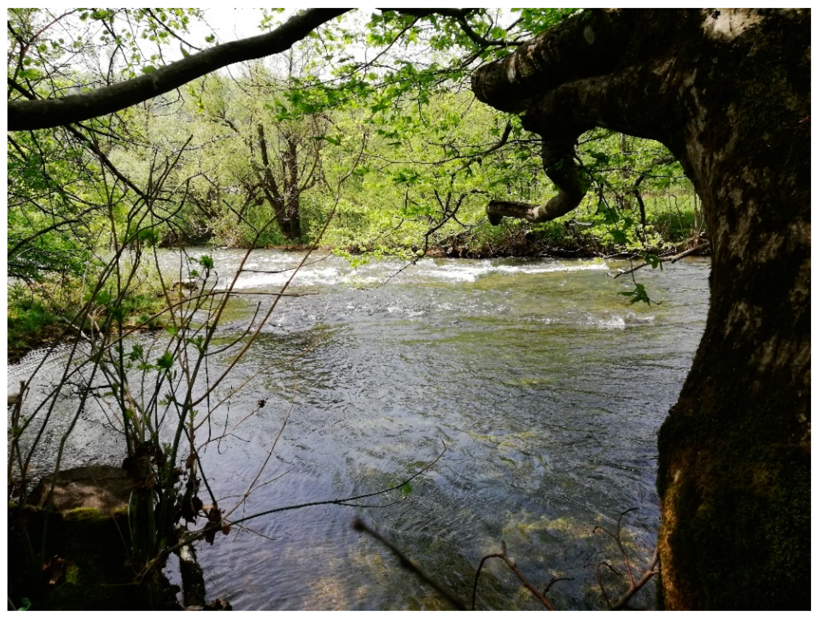 Water 13 01777 g0a2 550