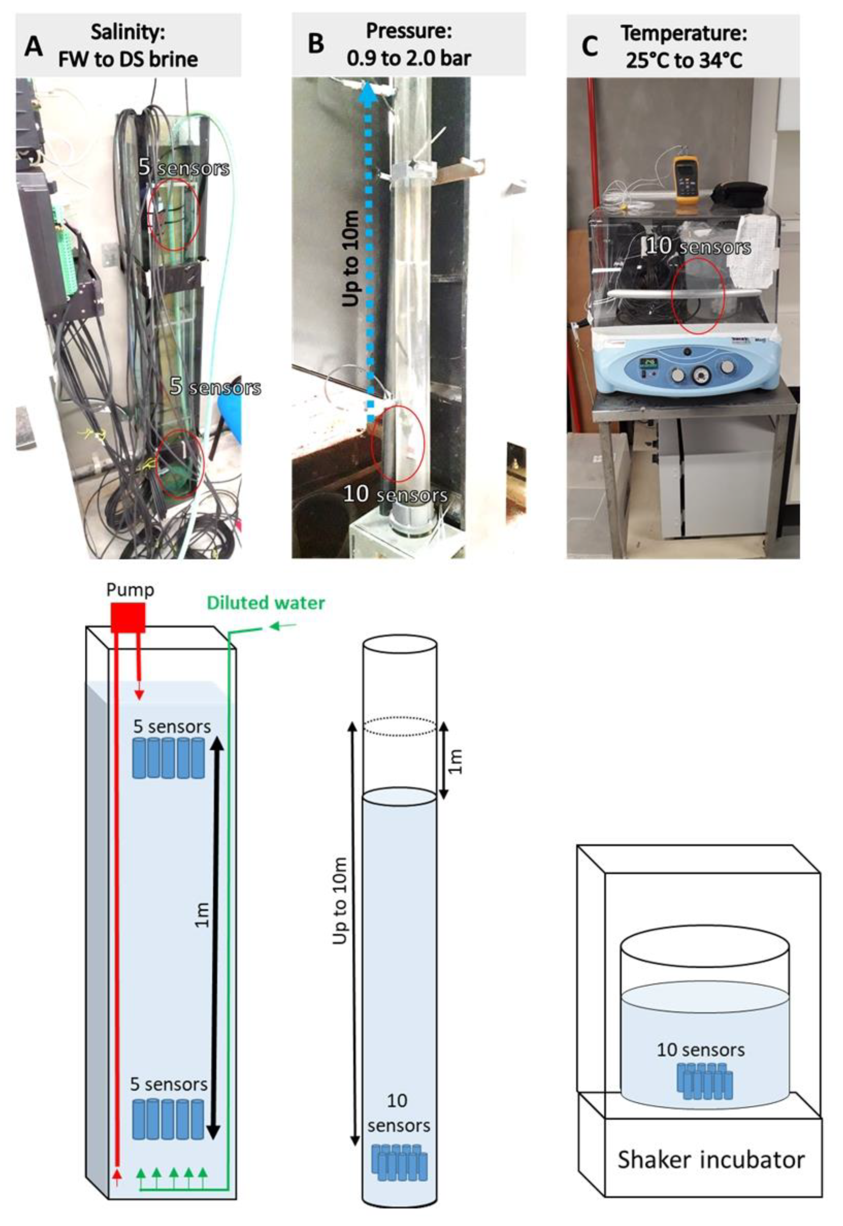 Water 13 01842 g003 Water 13 01842 g003