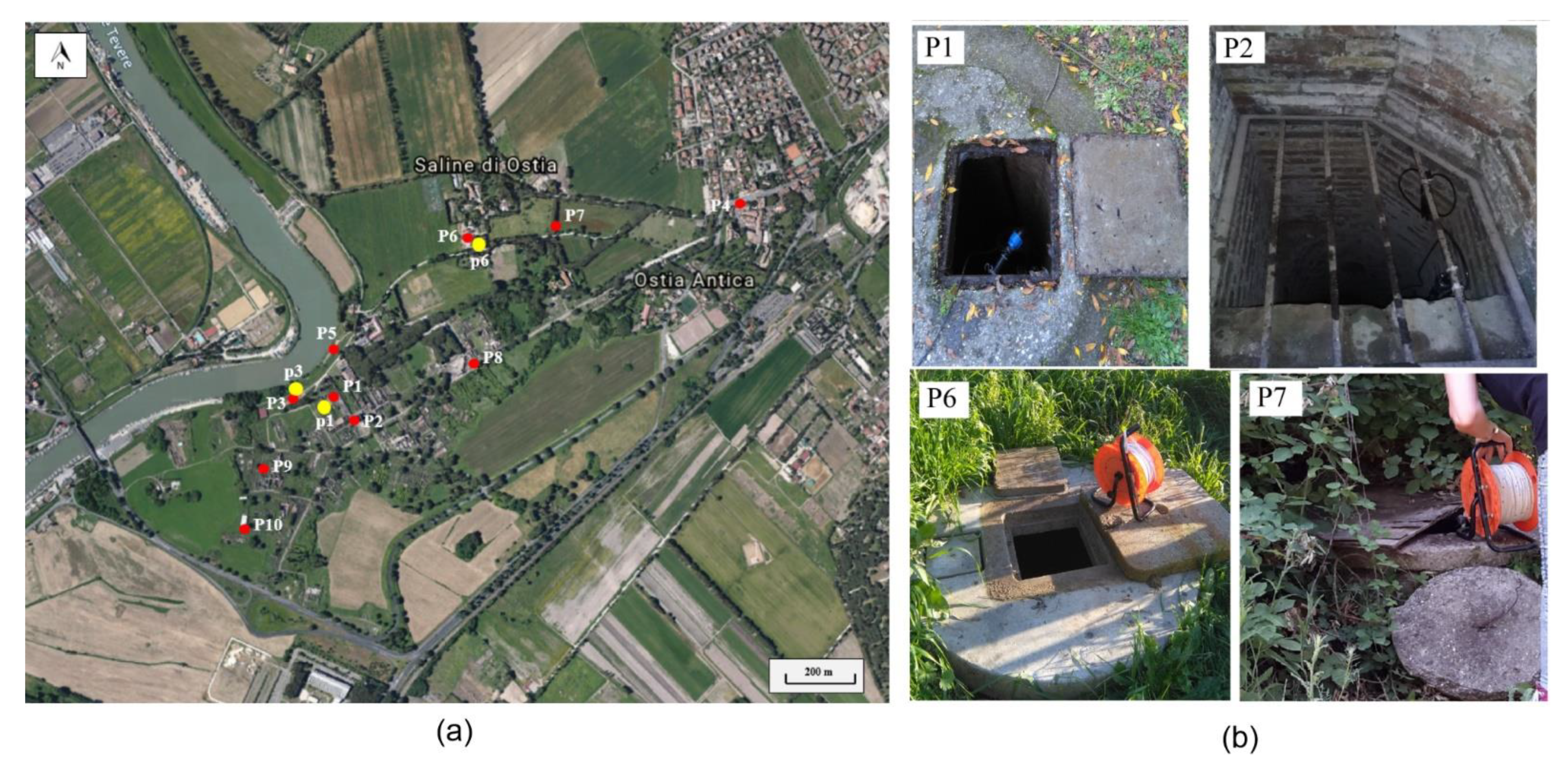 Water 13 01866 g003 550