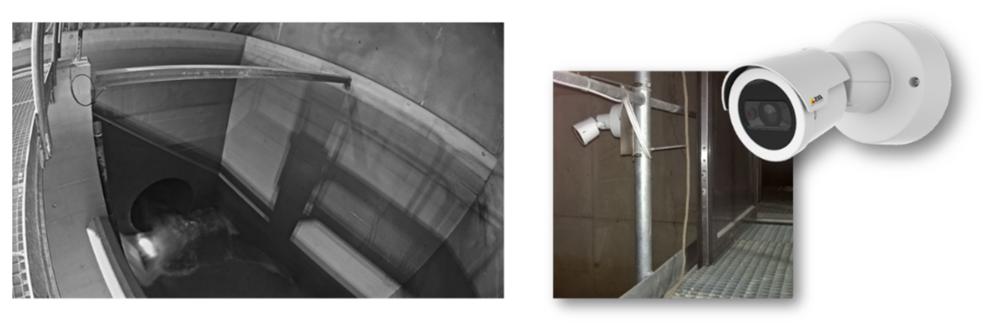 Water 13 01897 g011 550