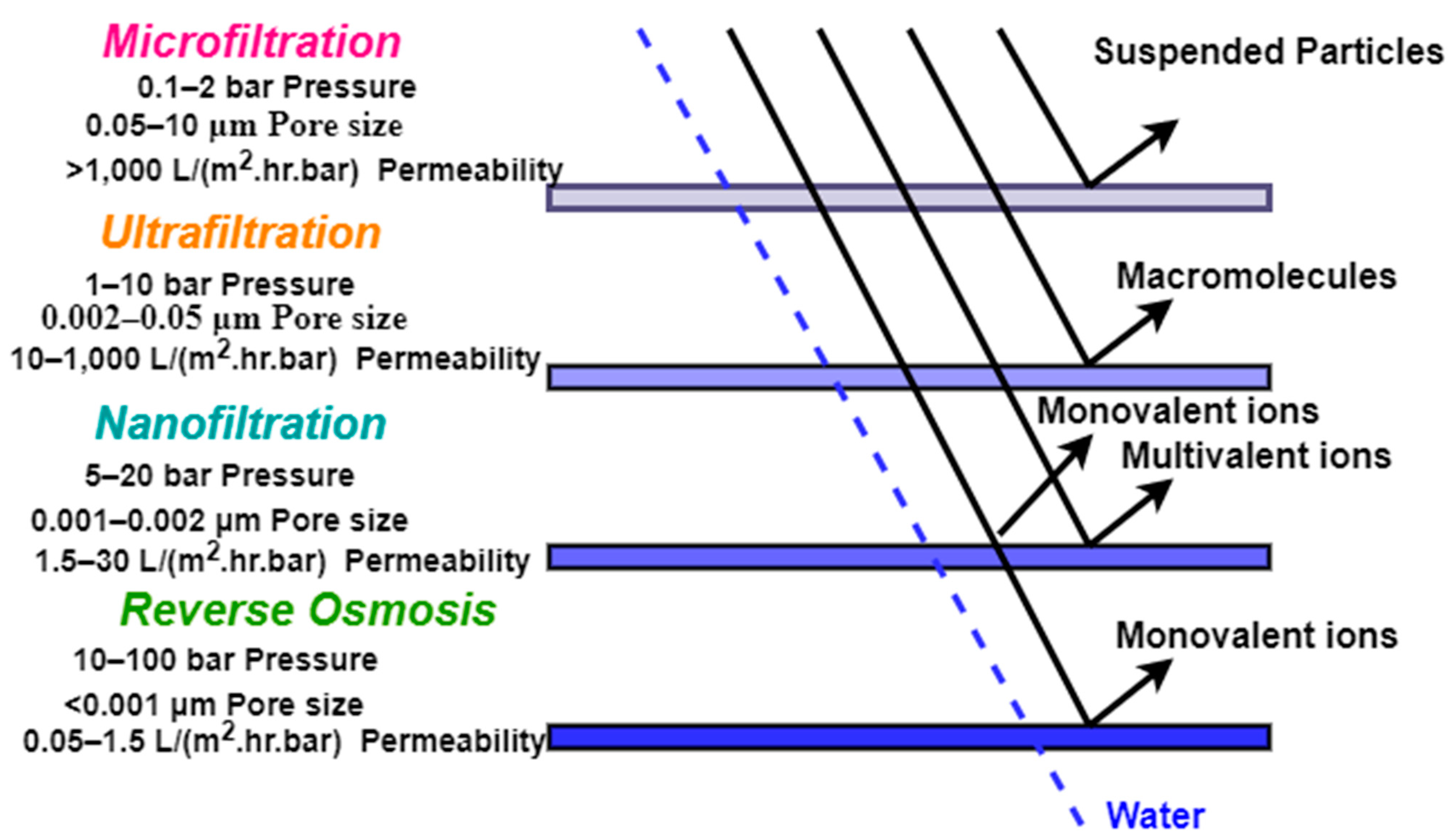Water 13 01905 g002 550