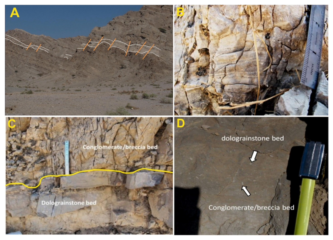 Water 13 01908 g003 550