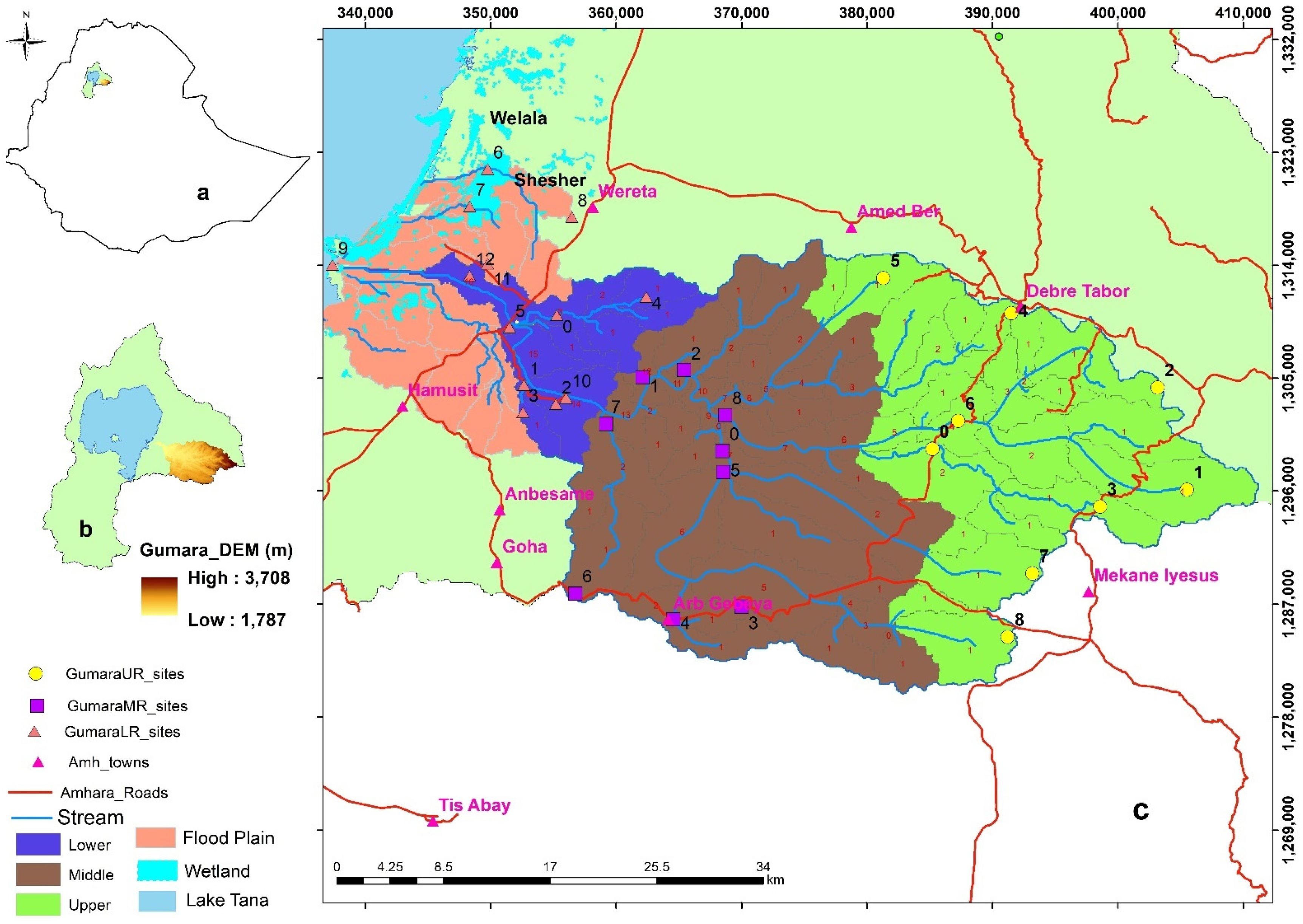 Water 13 01913 g001 Water 13 01913 g001