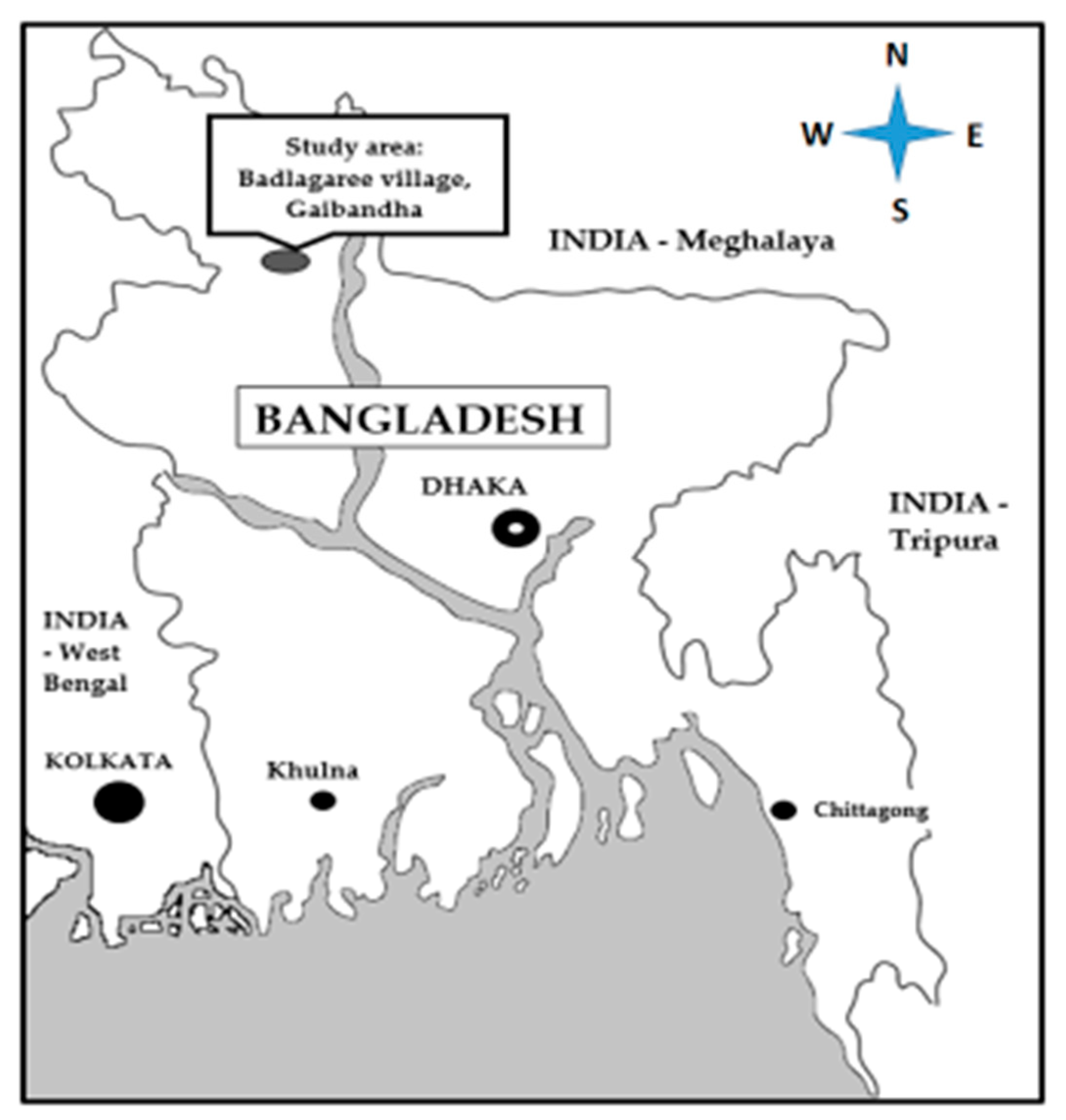 Water Free Full-Text Gendered Perspectives on Climate Change Adaptation A Quest for Social Sustainability in Badlagaree Village, Bangladesh