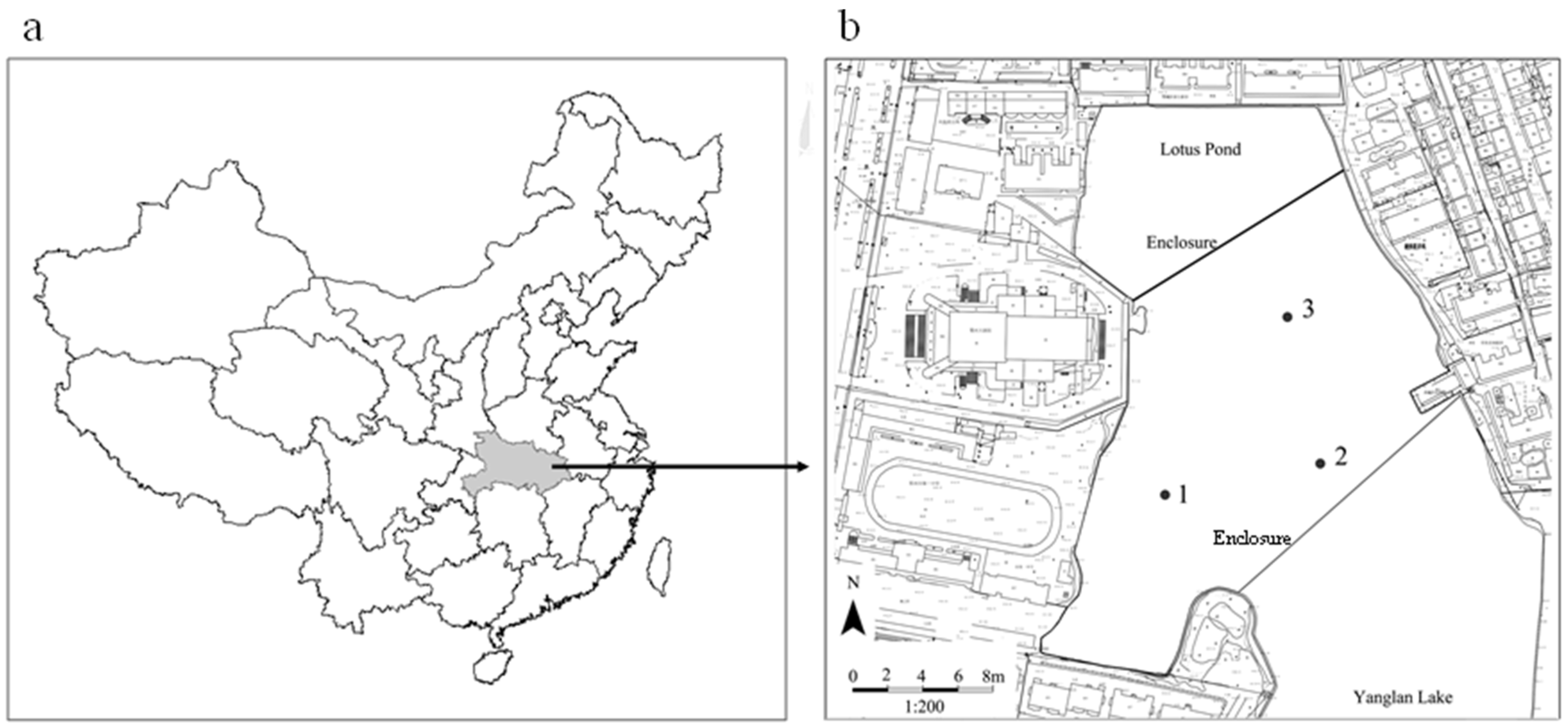 Water 13 01947 g001 550