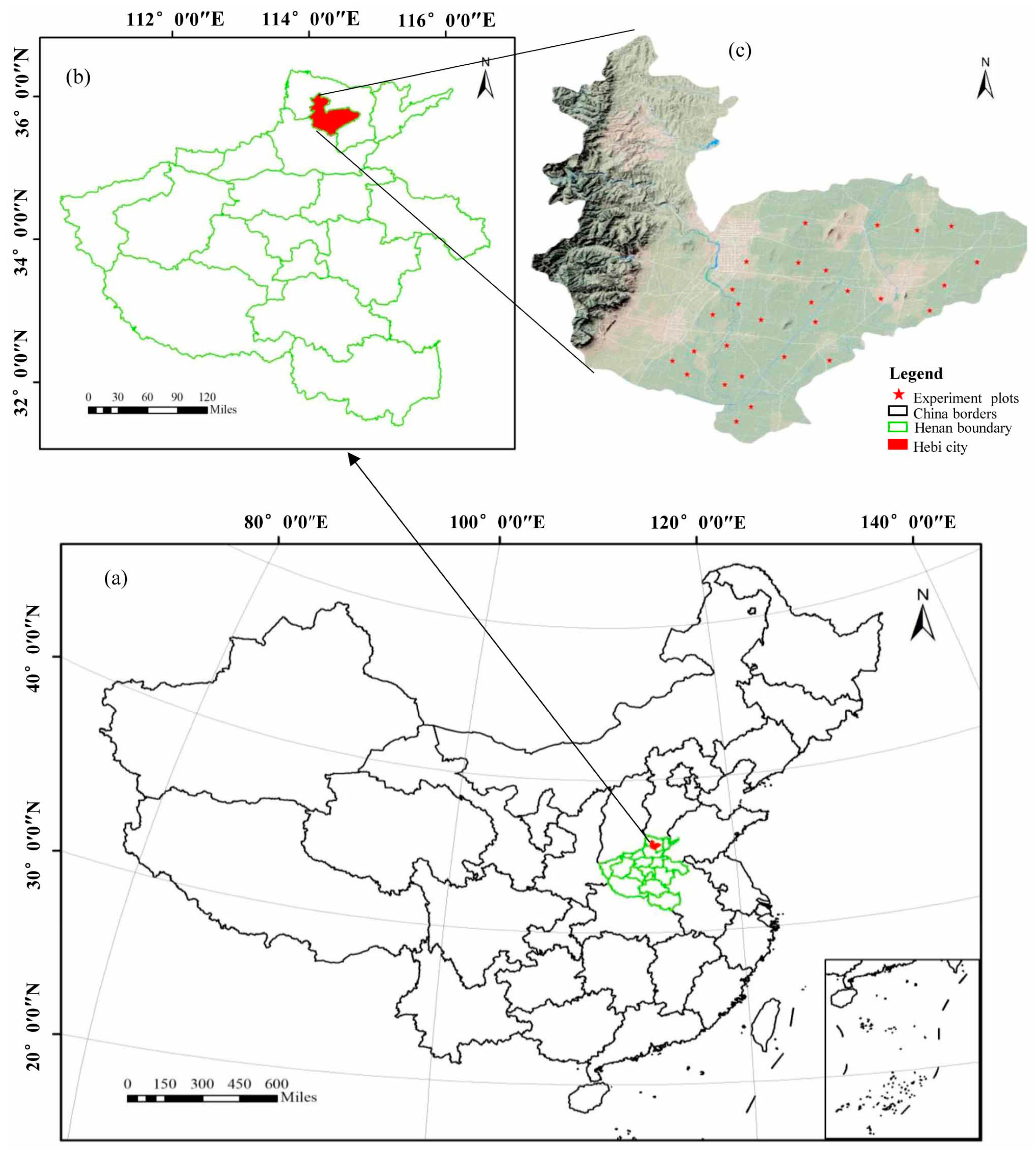 Water 13 01981 g001 550