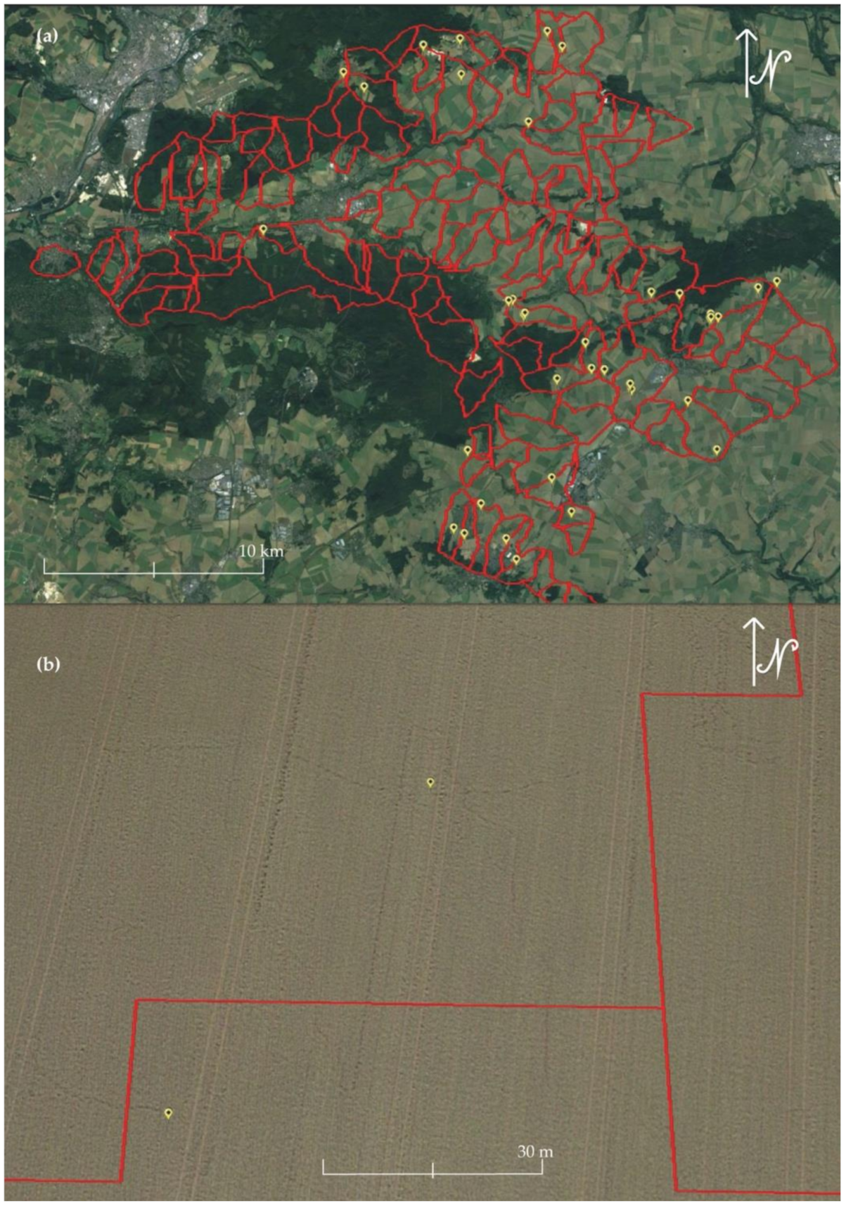 Water 13 01989 g006 550