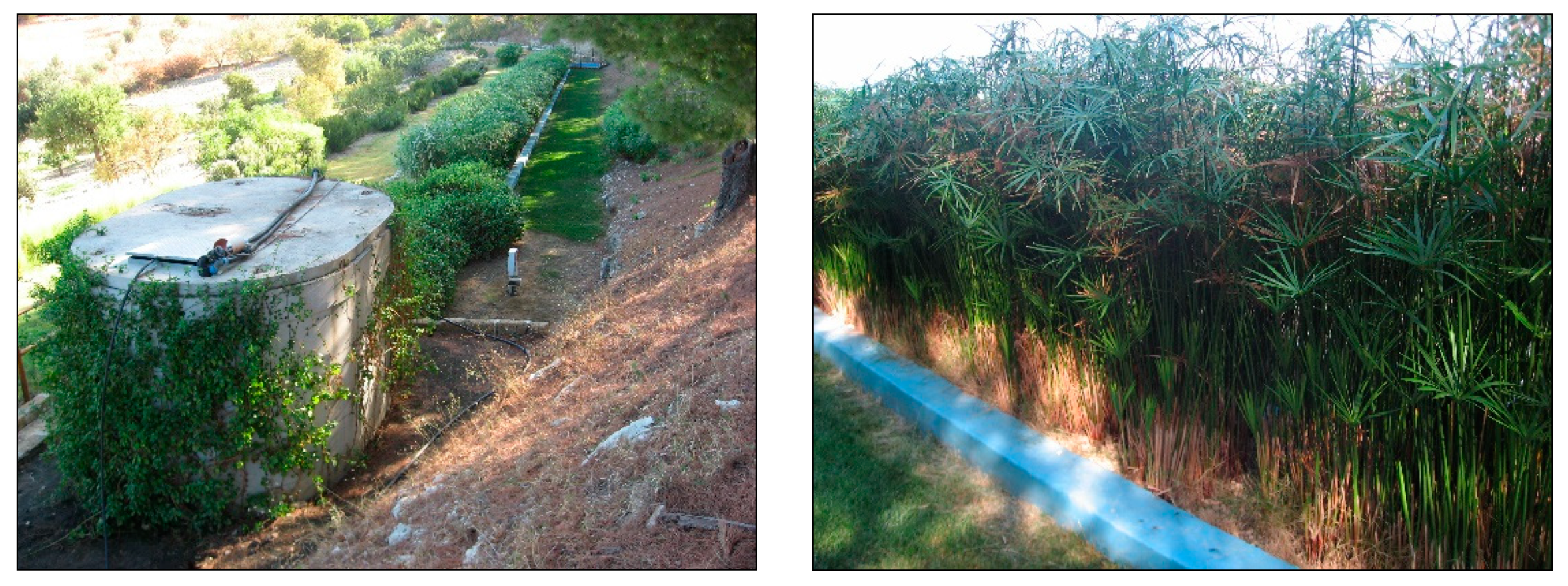 Water 13 01994 g001 550