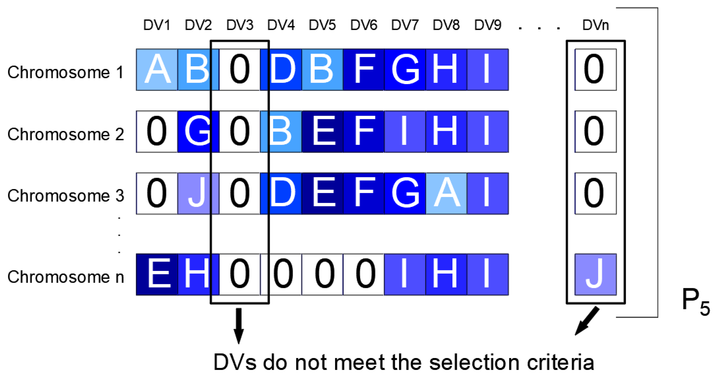 Water 13 02008 g006 550