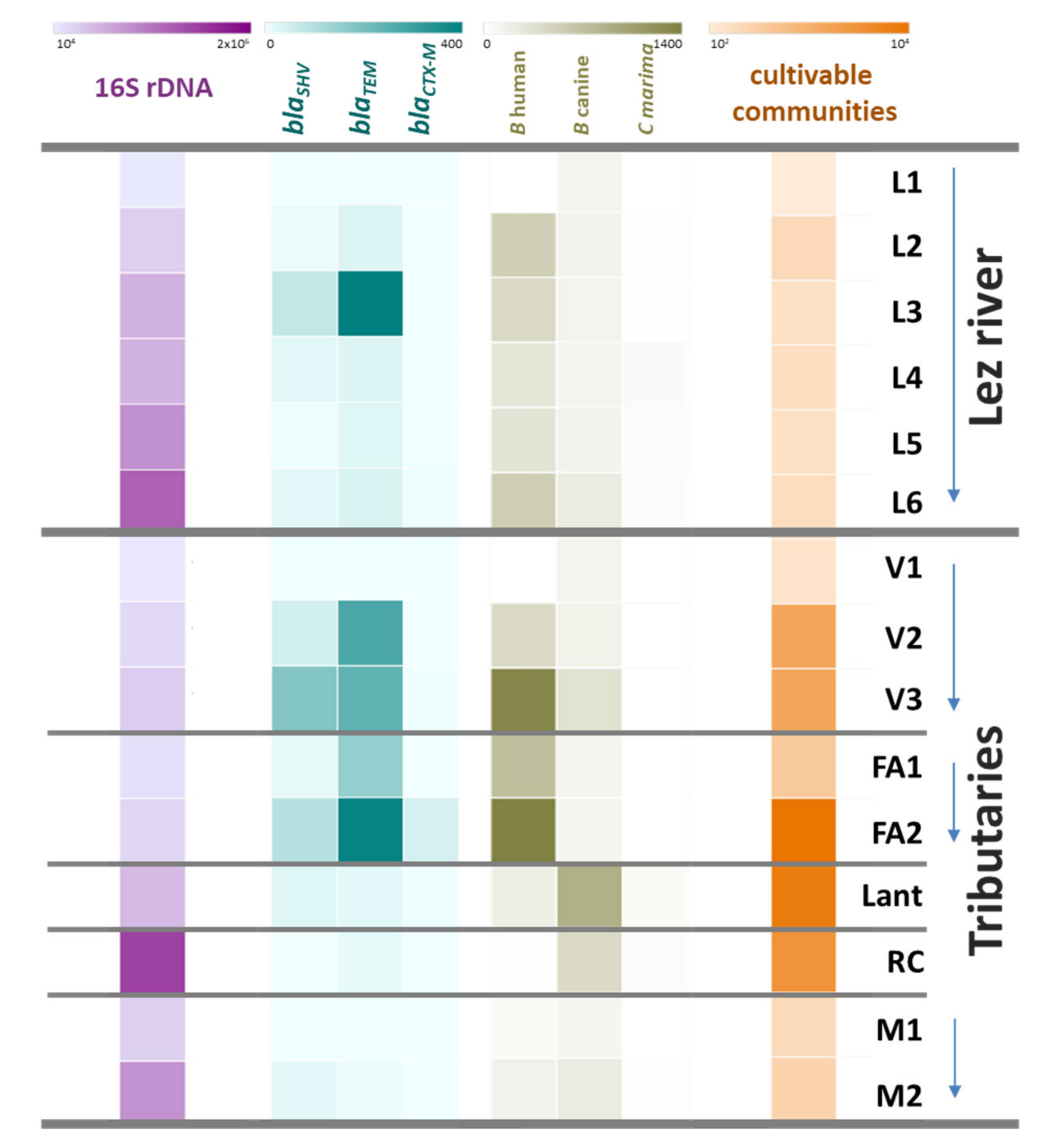 Water 13 02010 g005 Water 13 02010 g005