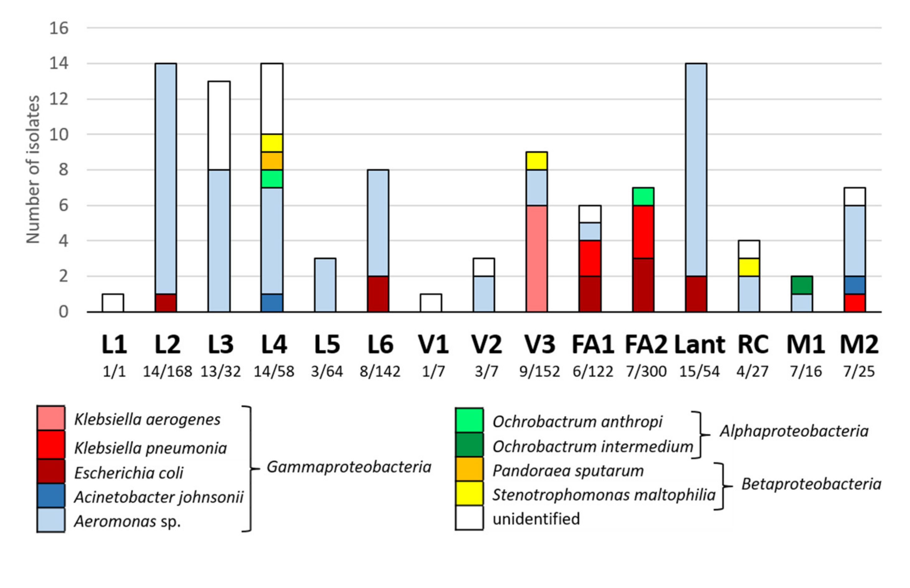 Water 13 02010 g006 Water 13 02010 g006