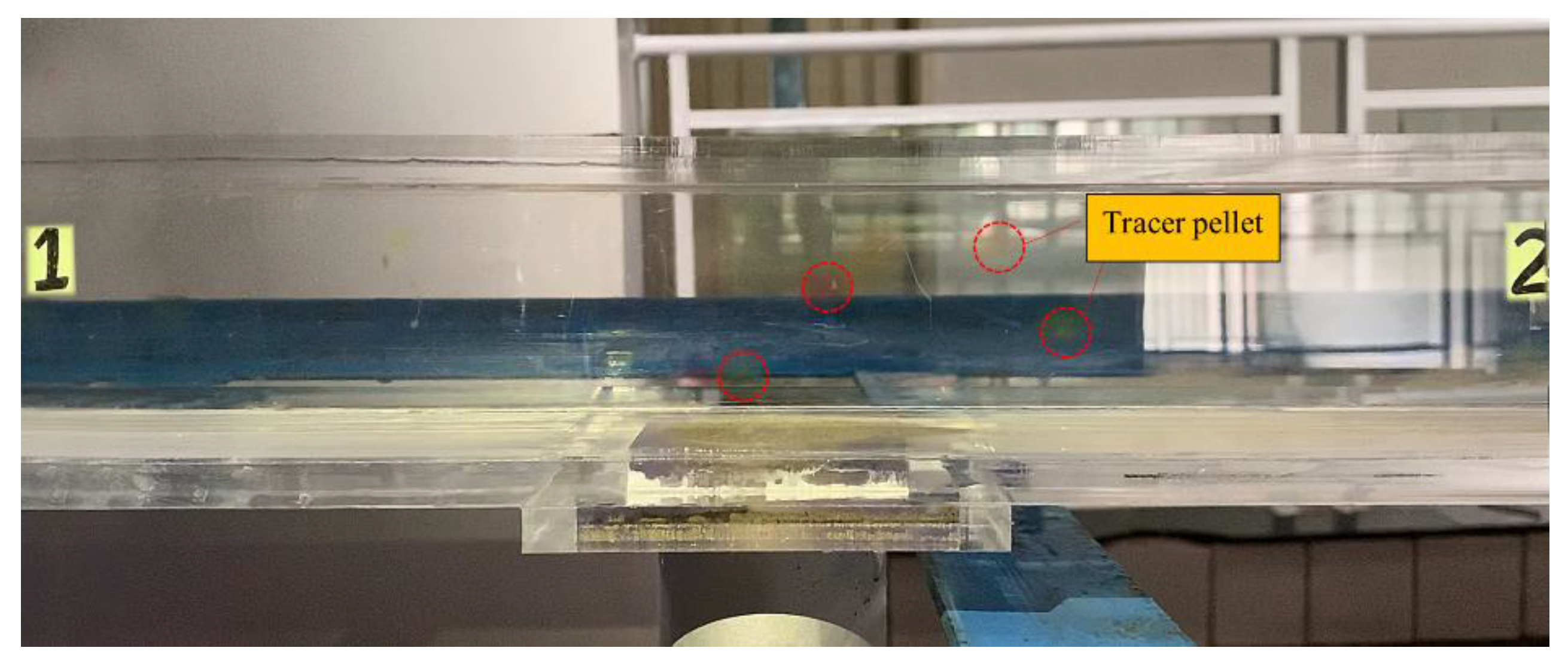 Water 13 02033 g007 550