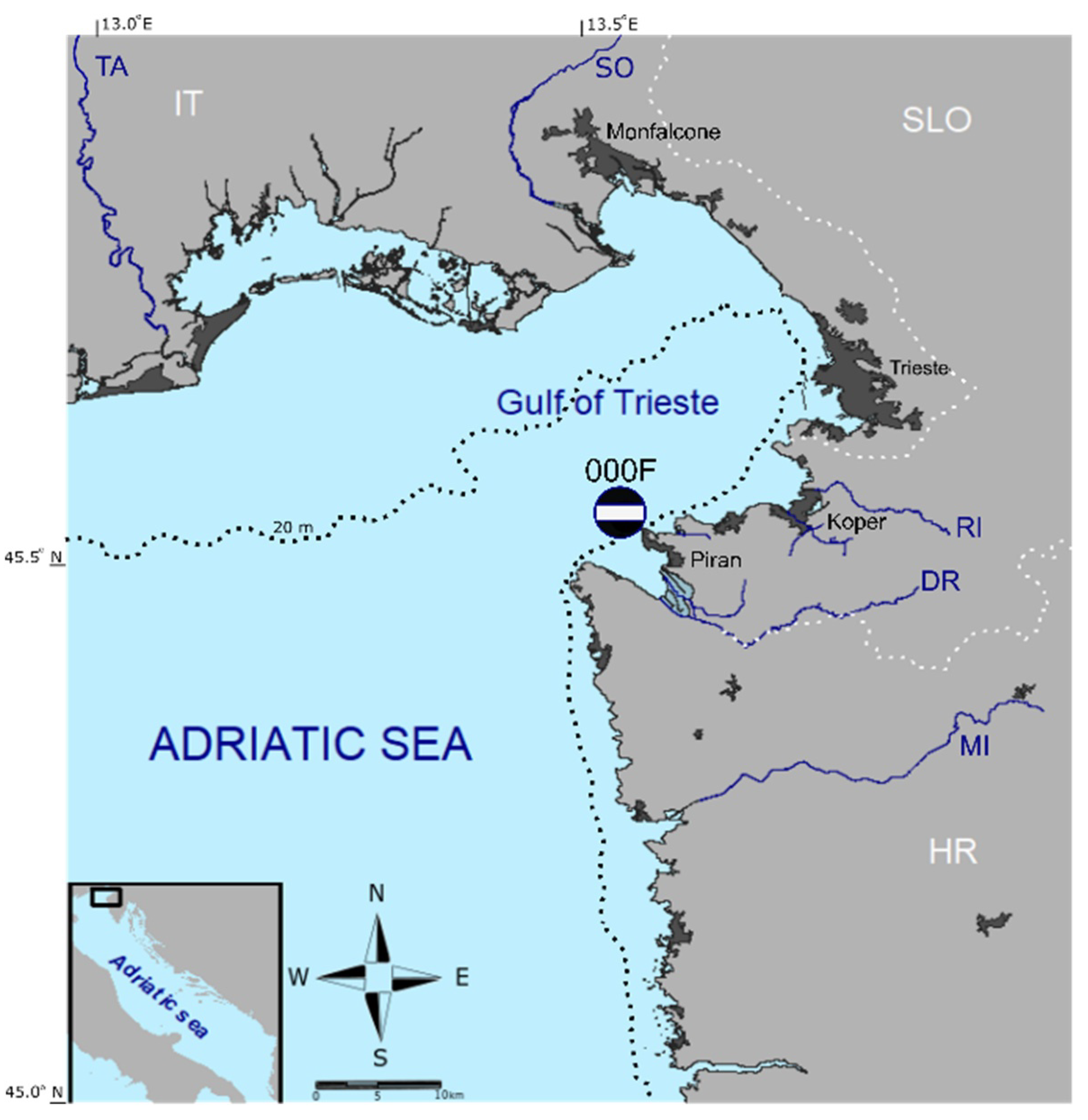 Water 13 02045 g001 550