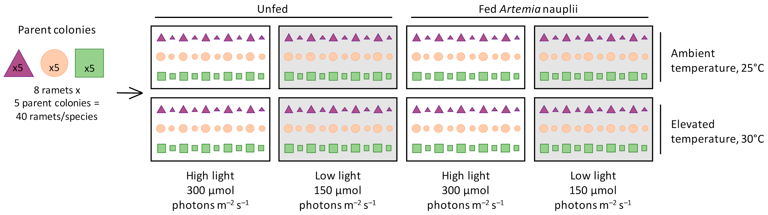 Water 13 02048 g001 Water 13 02048 g001