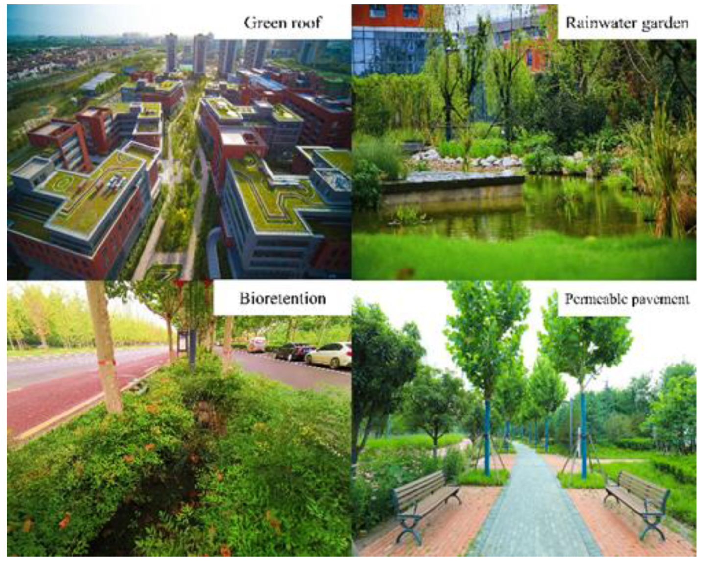 Water 13 02055 g001 550