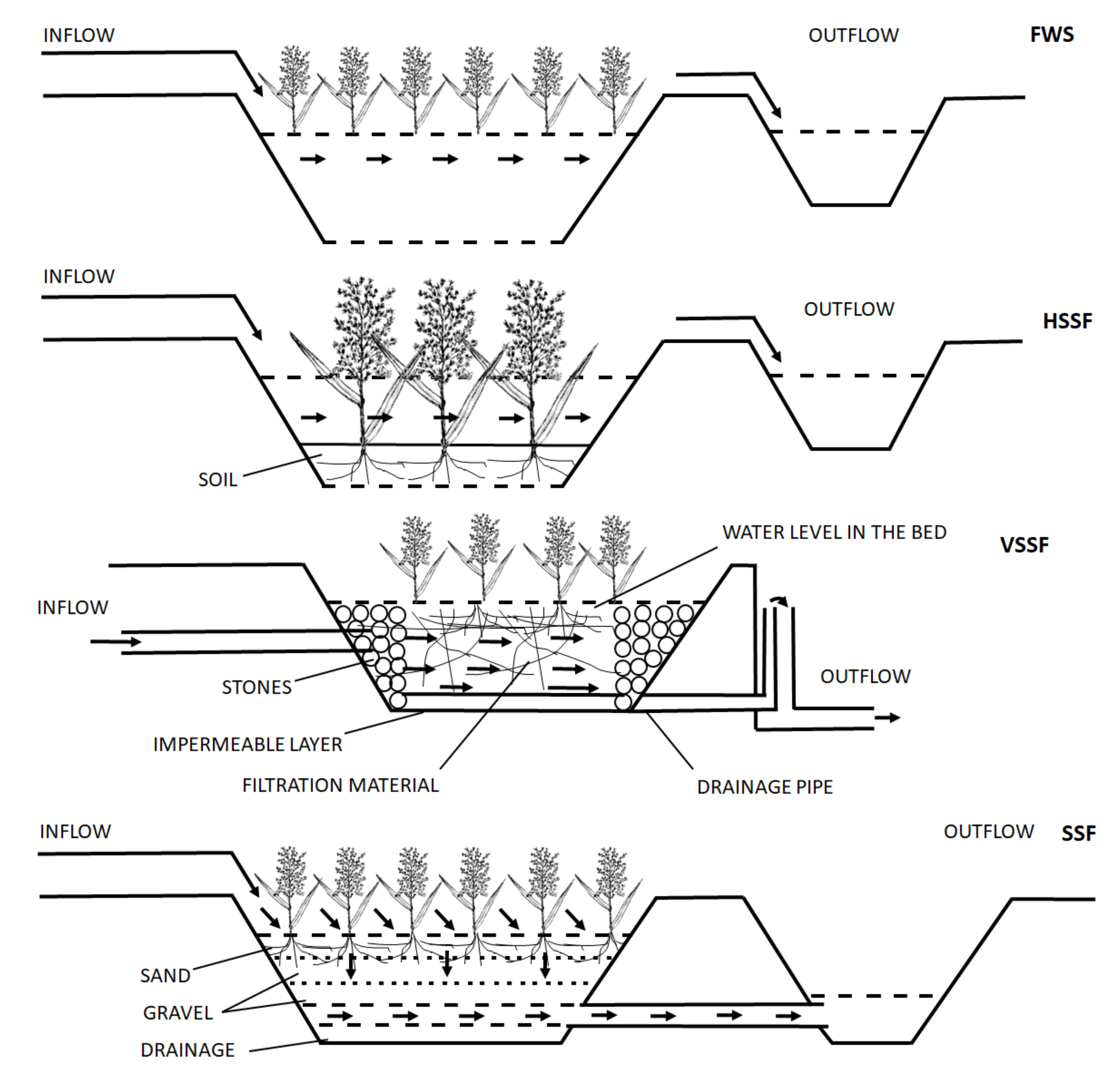Water 13 02065 g001 550