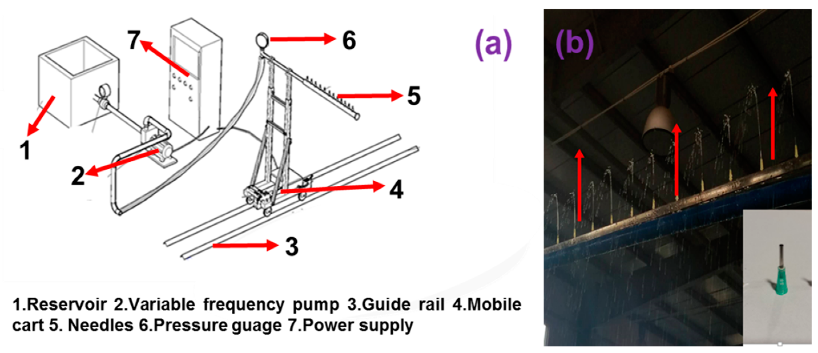 Water 13 02083 g001 550