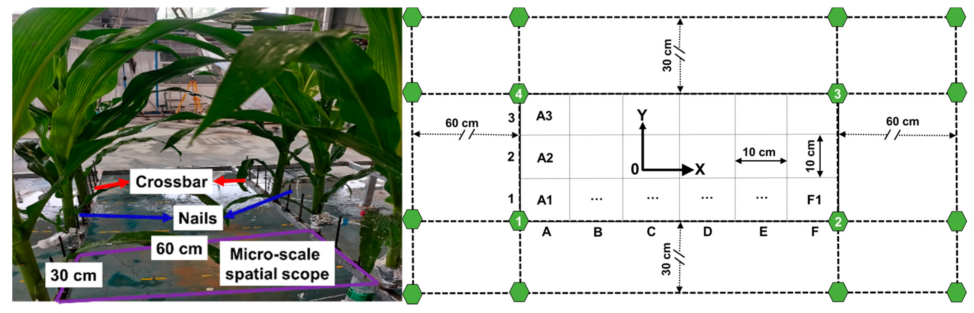 Water 13 02083 g003 550