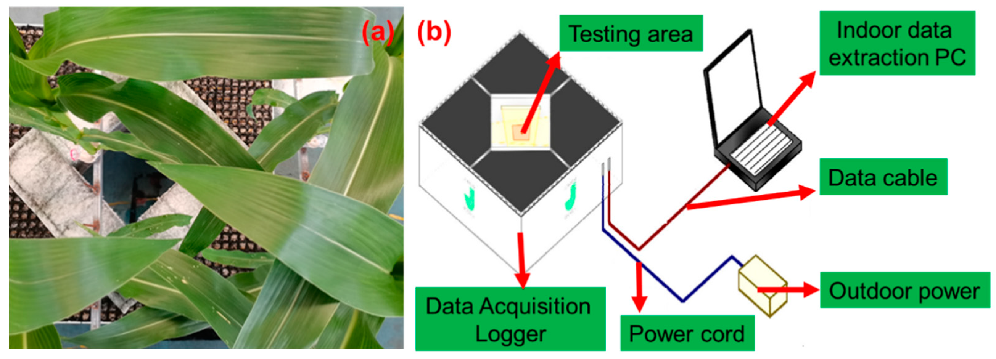 Water 13 02083 g004 550