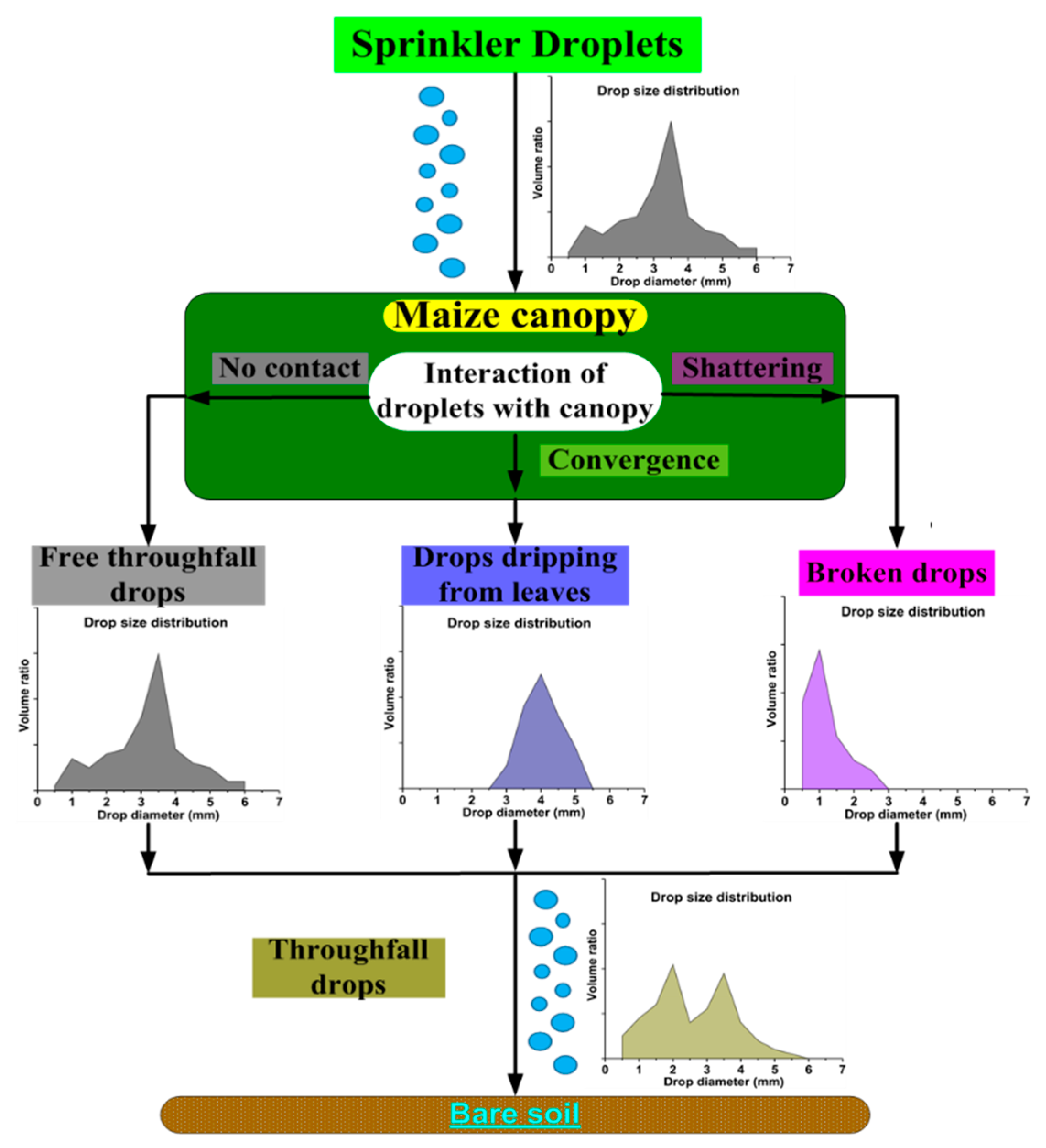 Water 13 02083 g010 550