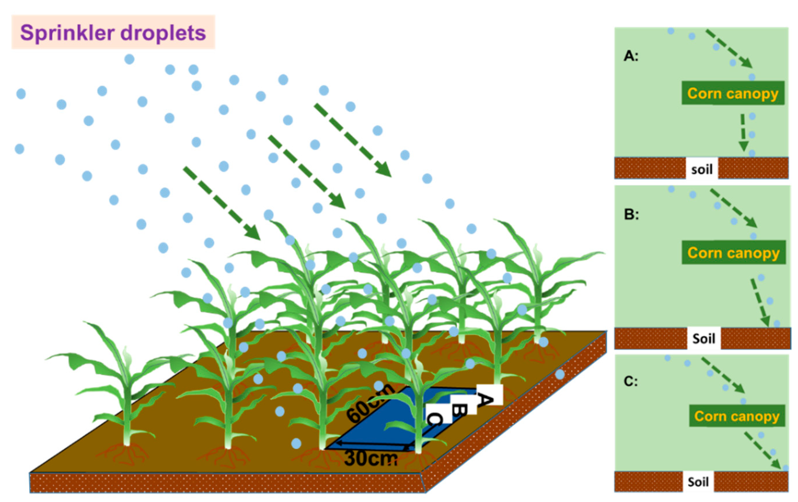 Water 13 02083 g016 550