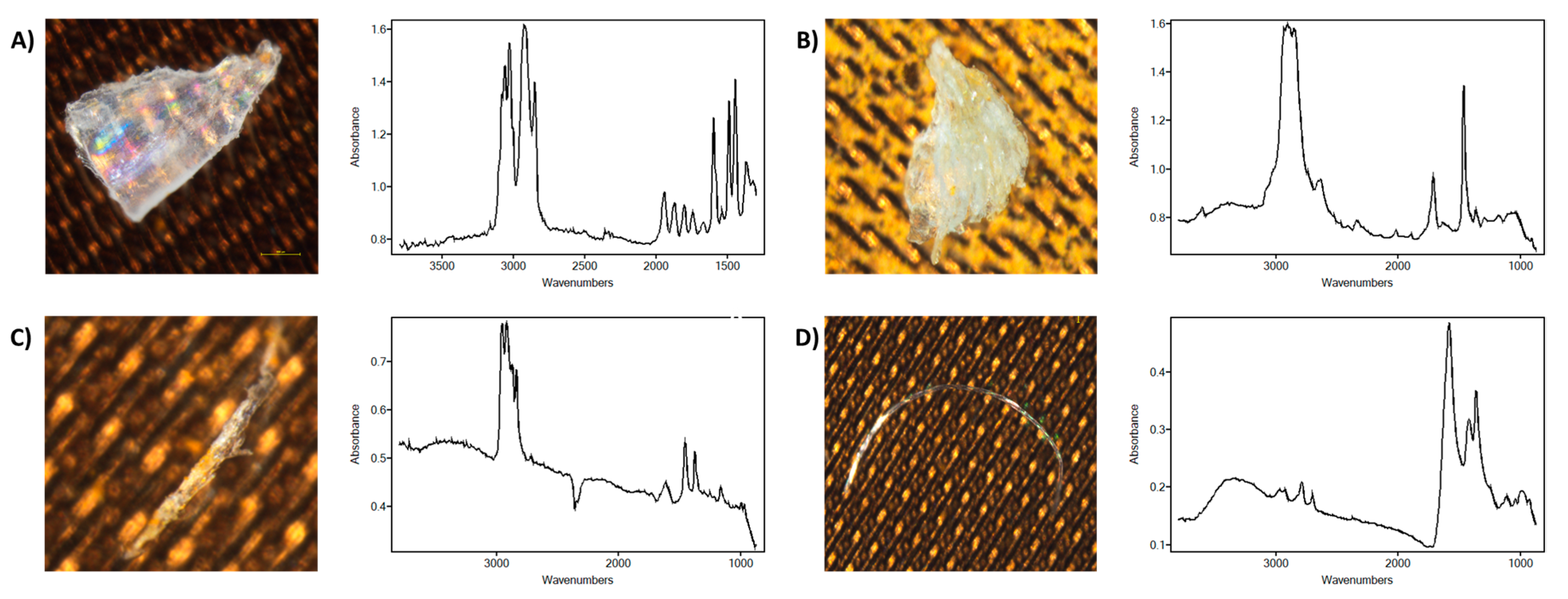 Water 13 02097 g004 550