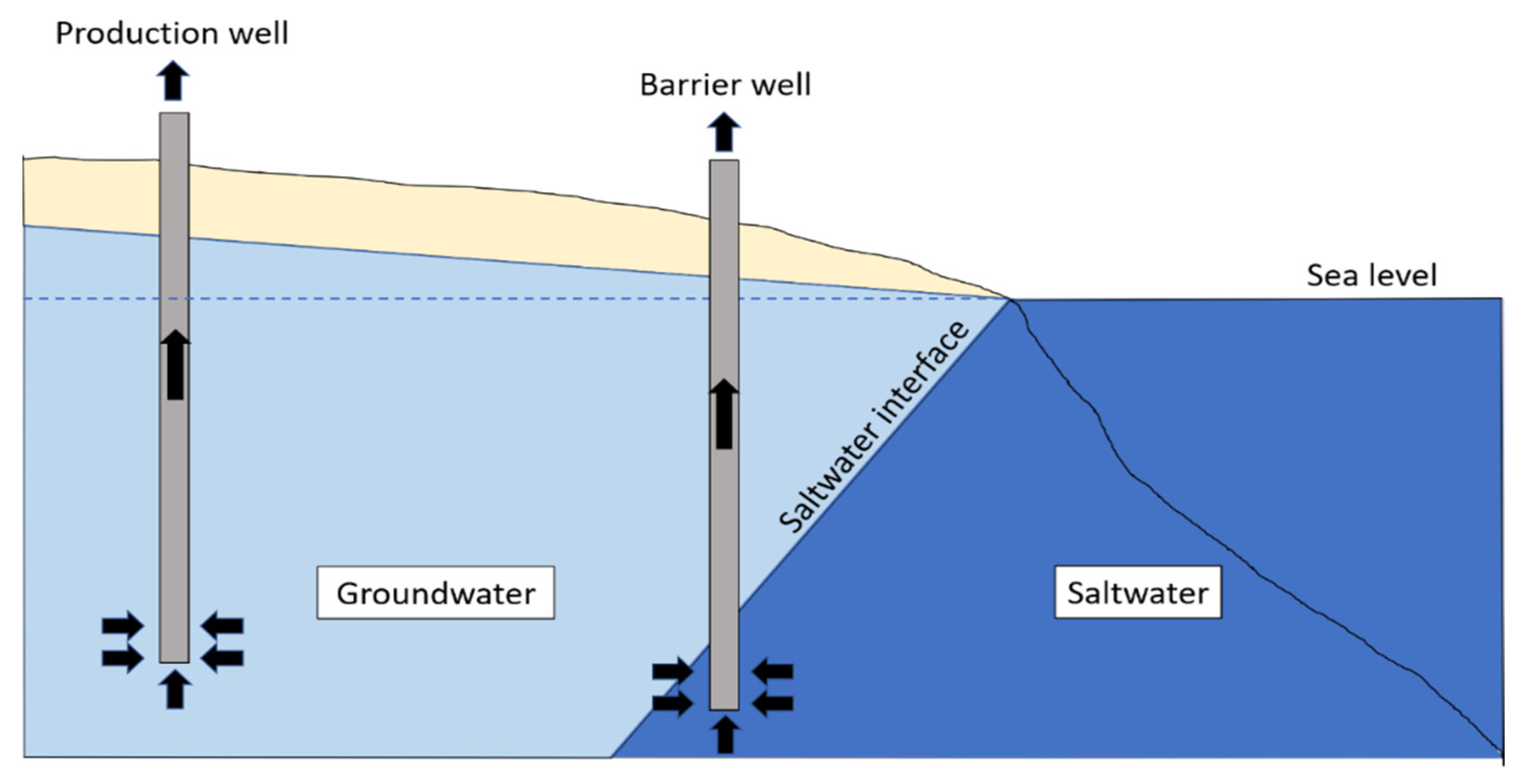 Water 13 02100 g001 550
