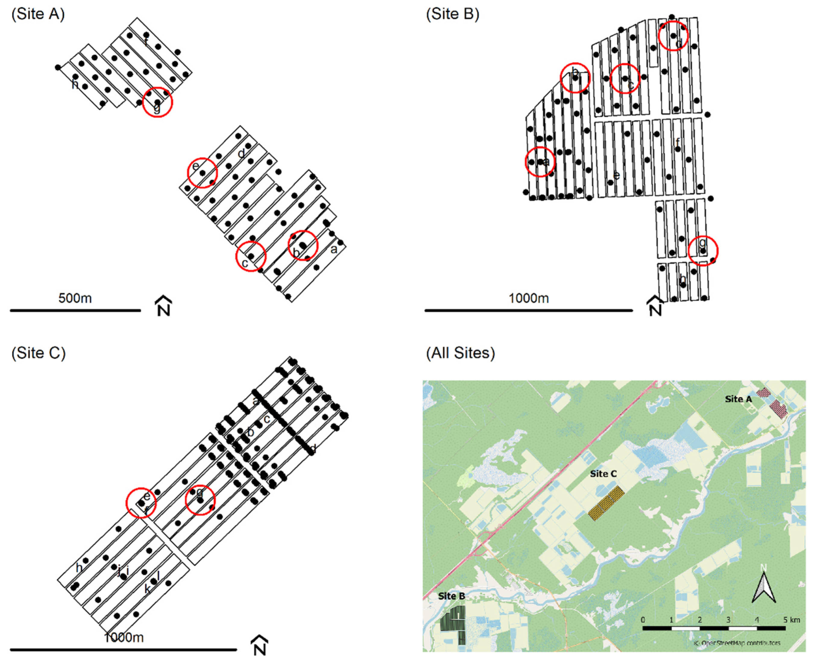 Water 13 02148 g001 550