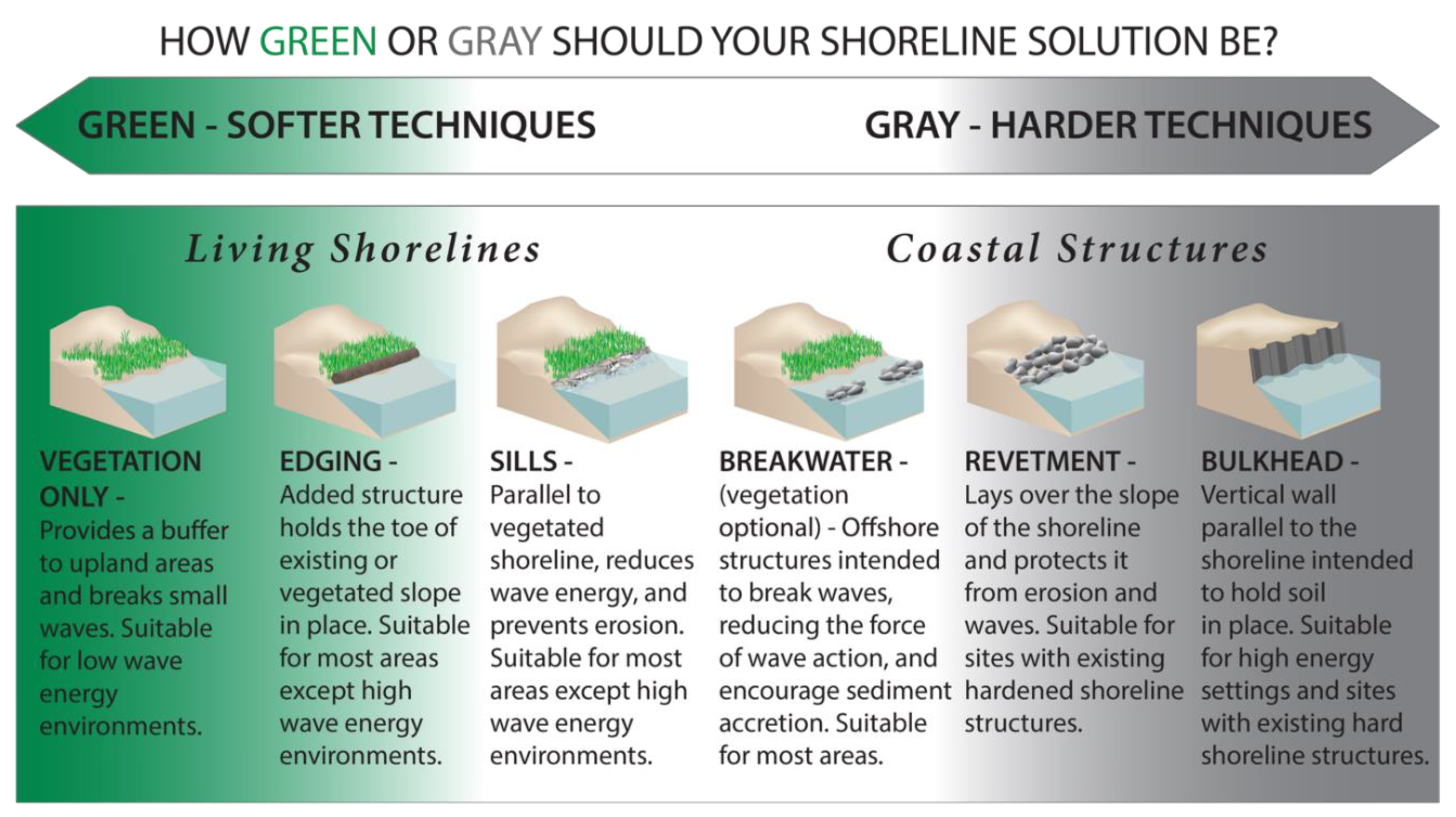 Water 13 02151 g013 550