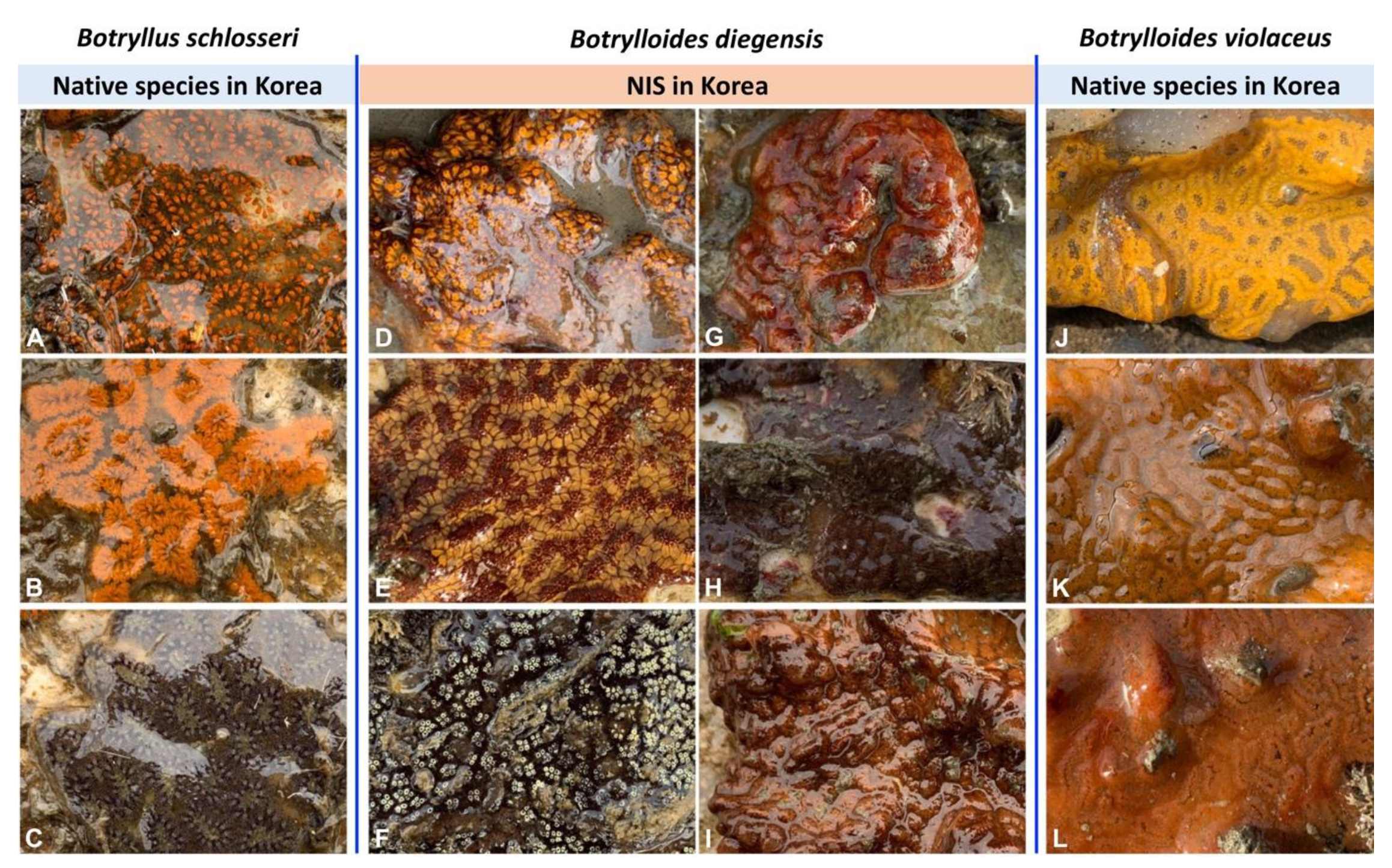 Water 13 02164 g002 Water 13 02164 g002