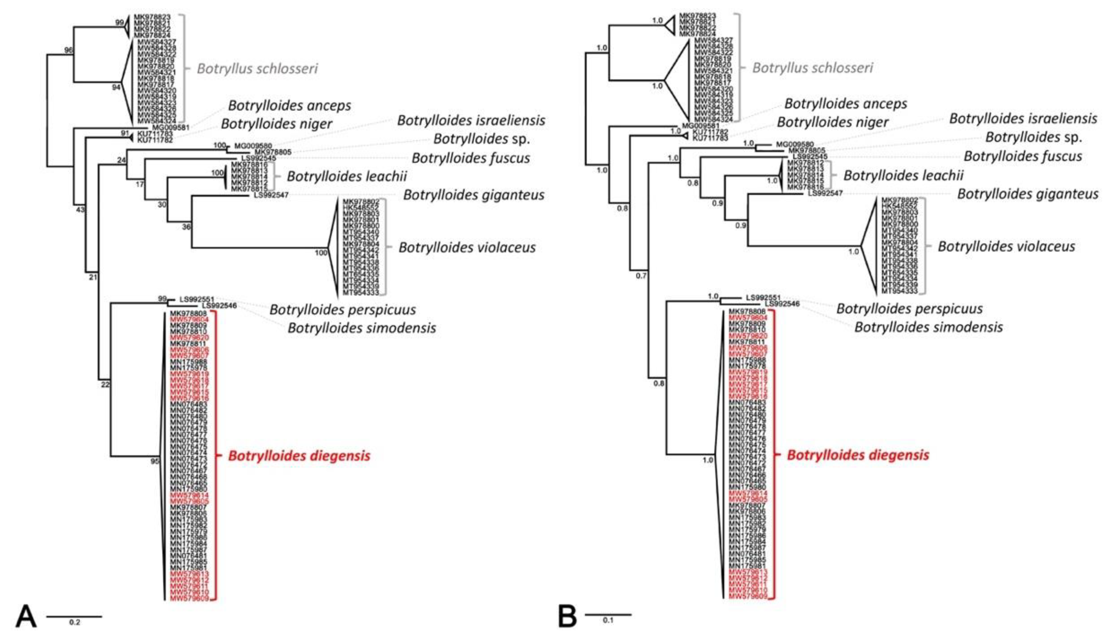 Water 13 02164 g004 Water 13 02164 g004
