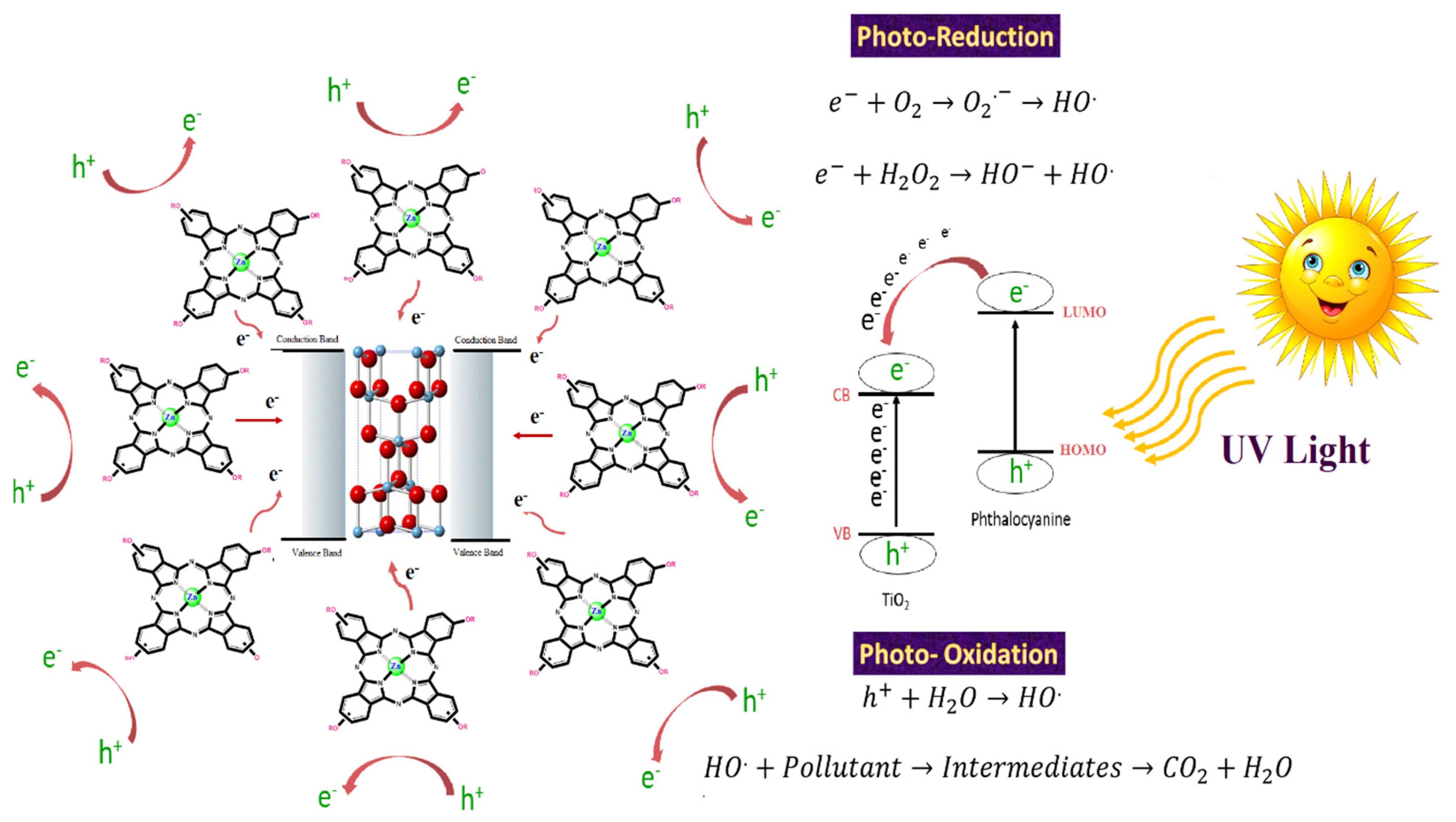 Water 13 02174 g001 550