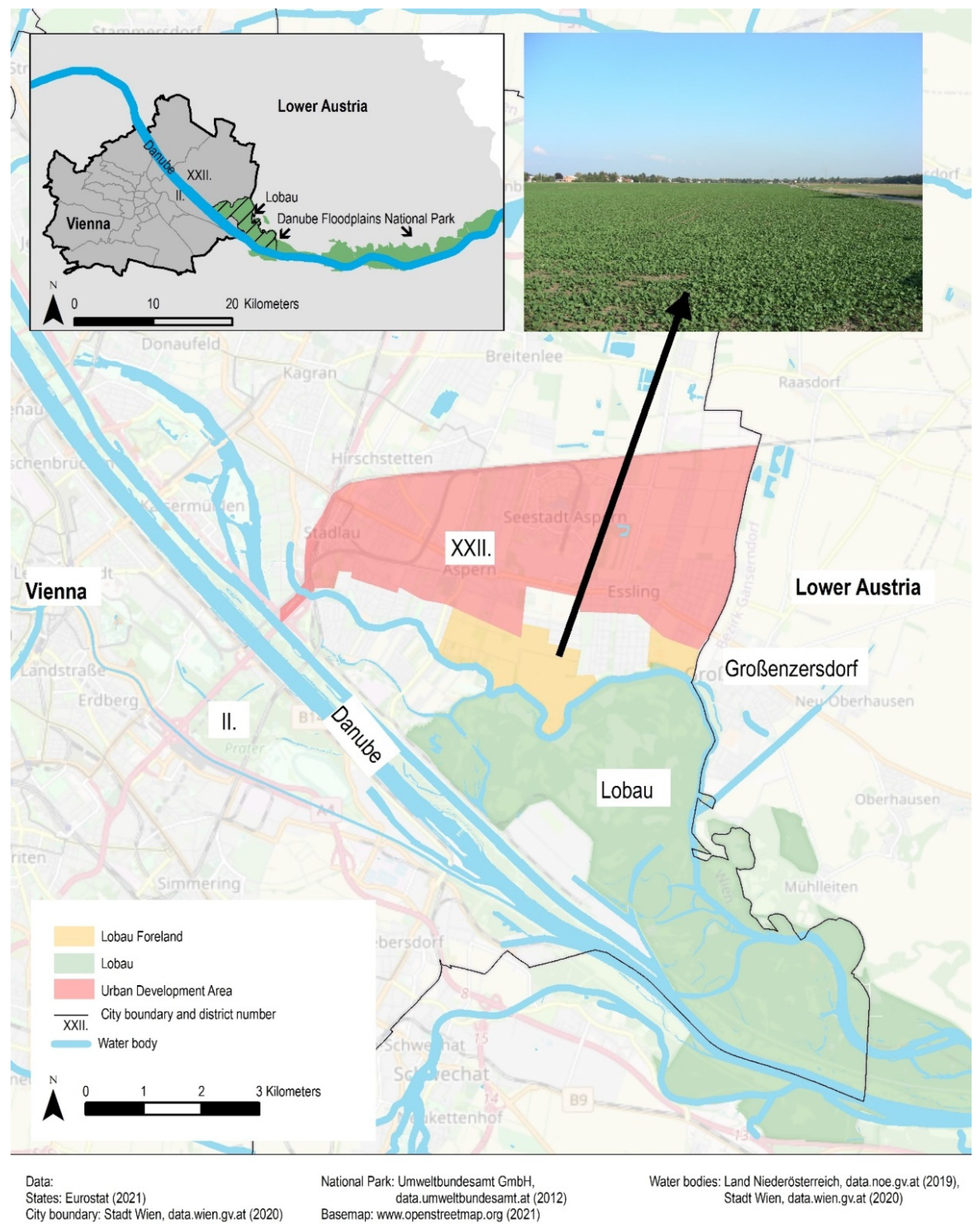 Water 13 02178 g001 550