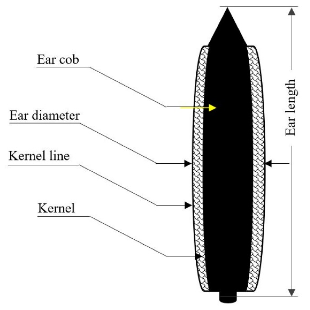 Water 13 02181 g006 550