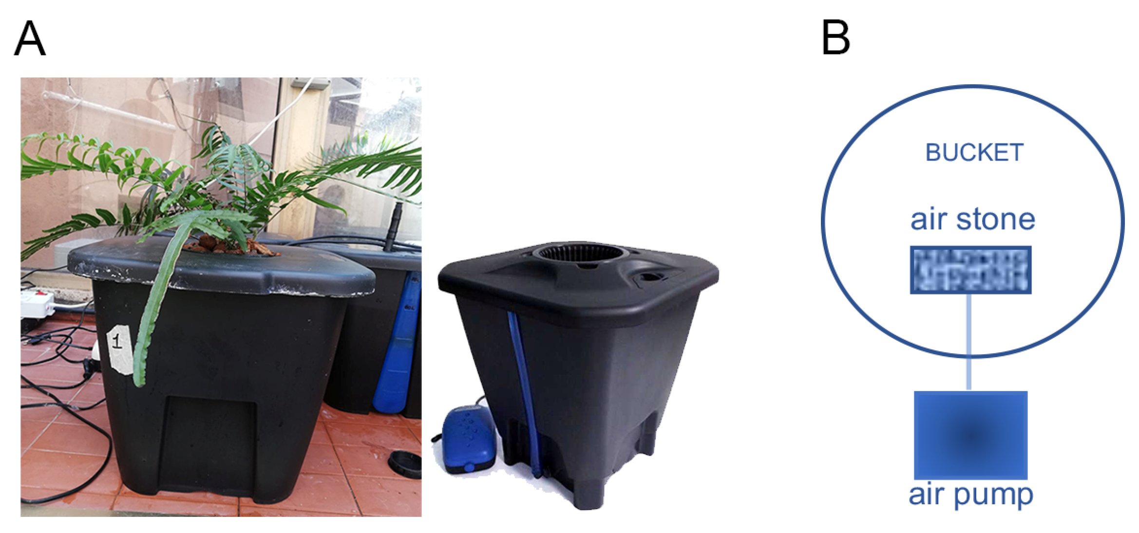 Water 13 02187 g002 550