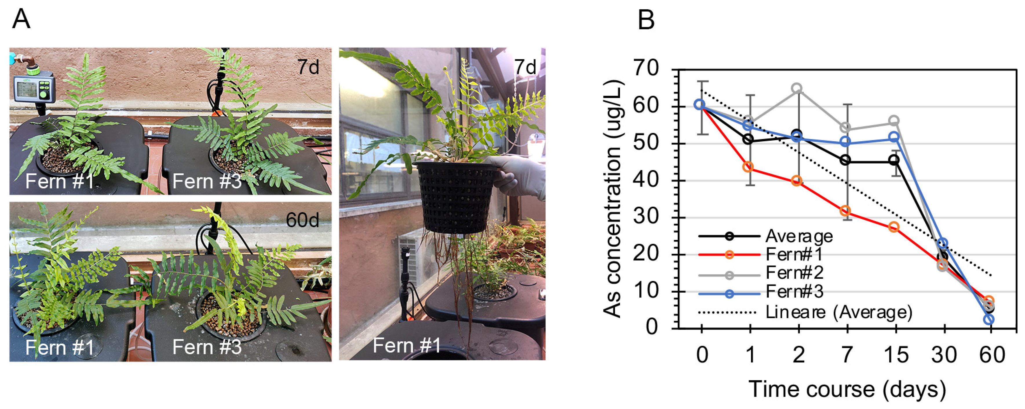 Water 13 02187 g004 550