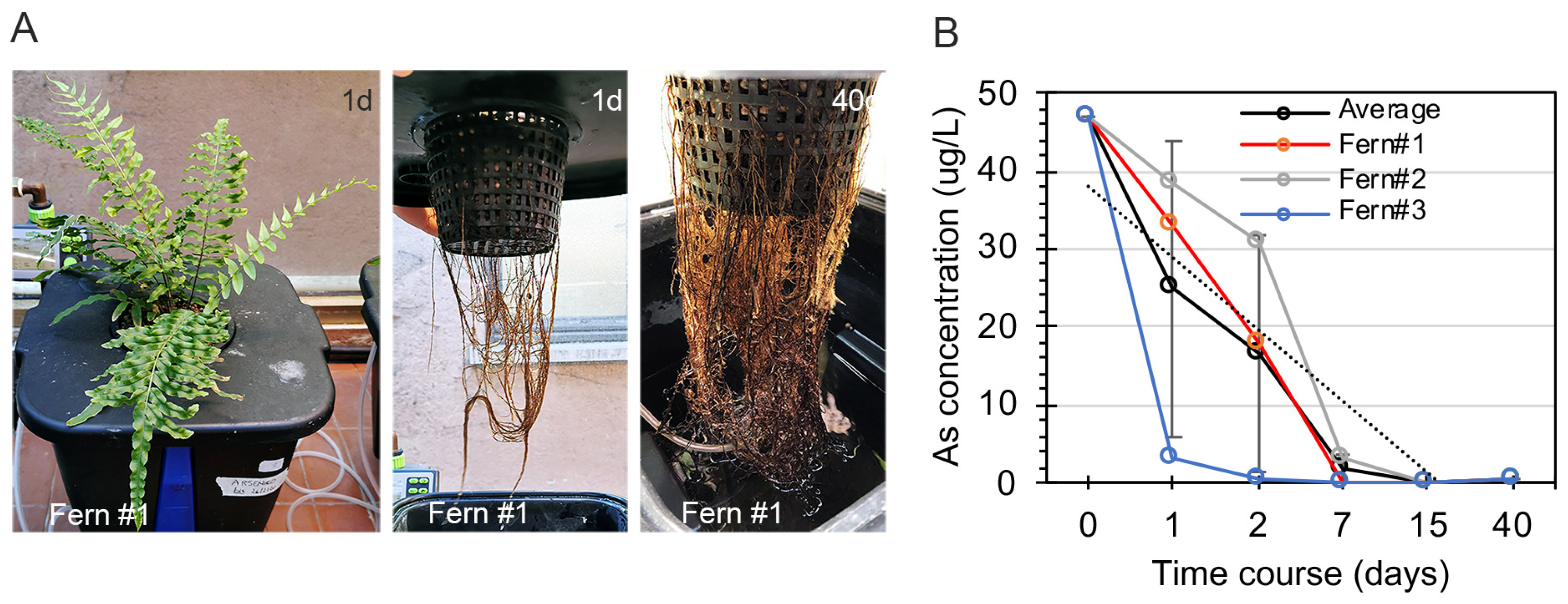 Water 13 02187 g006 550