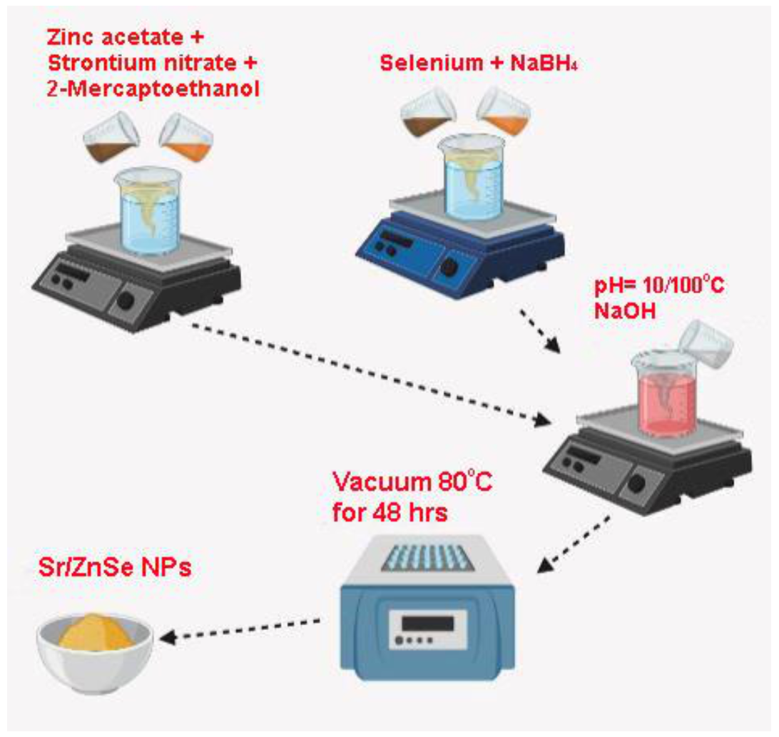 Water 13 02189 g001 550