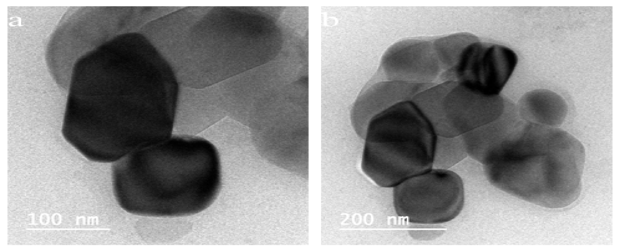 Water 13 02189 g006 550